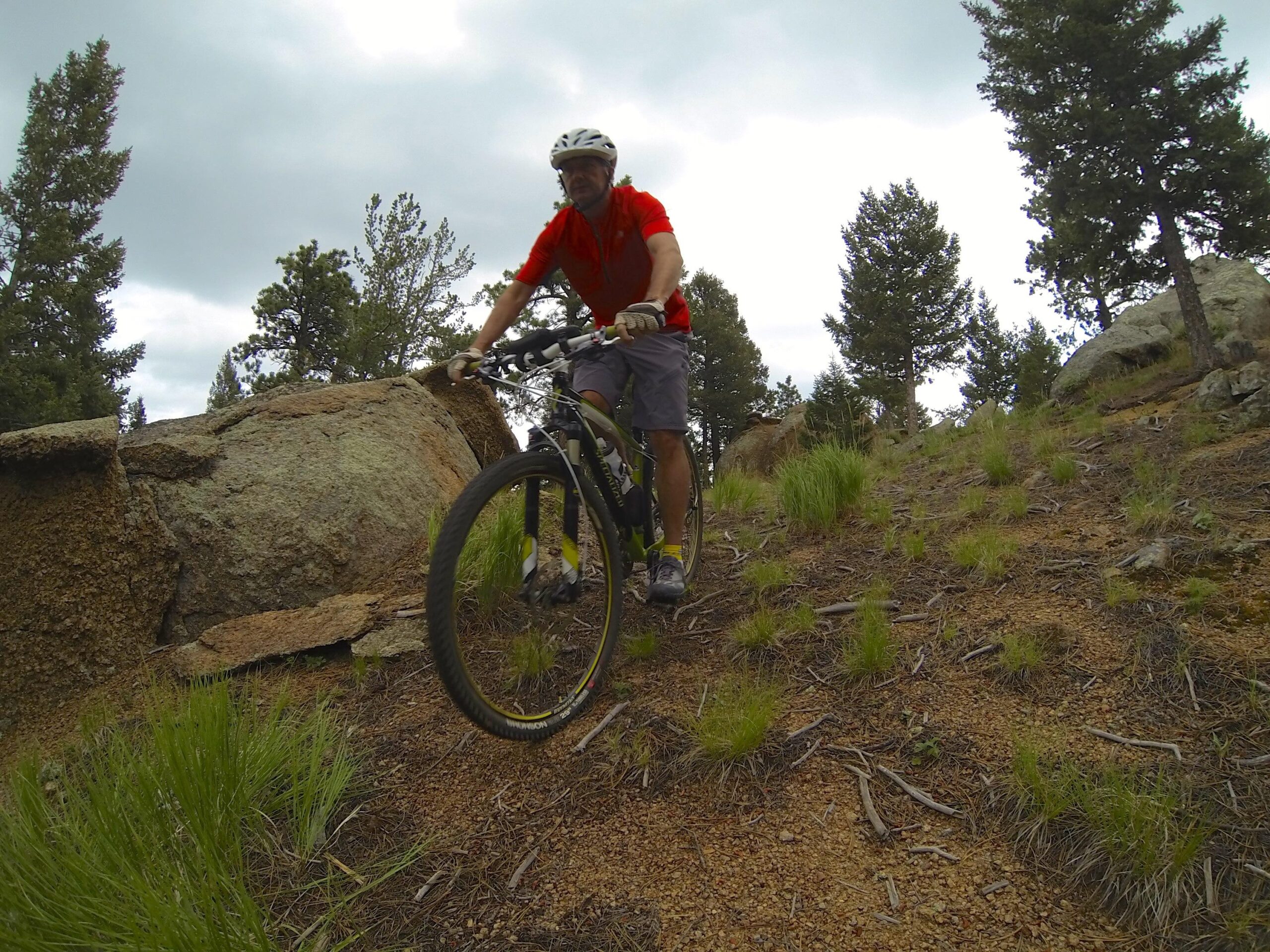 Specialized Stumpjumper Comp 29er: A mountain biker wearing a red shirt and helmet rides on a rocky, uneven trail surrounded by tall grass and pine trees under a cloudy sky.