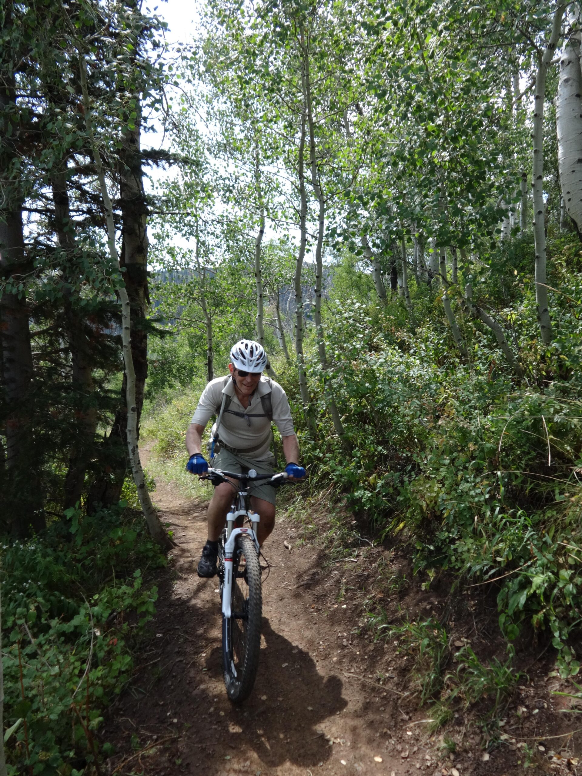 A person riding a mountain bike on a narrow dirt trail surrounded by tall trees and greenery. The rider is wearing a helmet and gloves, showcasing an active outdoor activity amidst a sunny forest setting. Mid Mountain mountain bike trail.