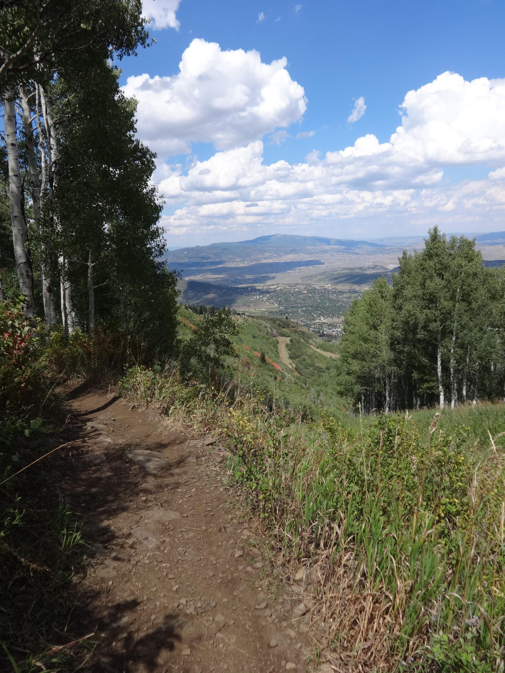 A scenic view from a hiking trail, surrounded by tall green trees and vibrant vegetation. The trail is rocky and leads down a slope, with a panoramic view of a valley below, dotted with houses and fields, under a bright blue sky filled with fluffy white clouds. Mid Mountain mountain bike trail.
