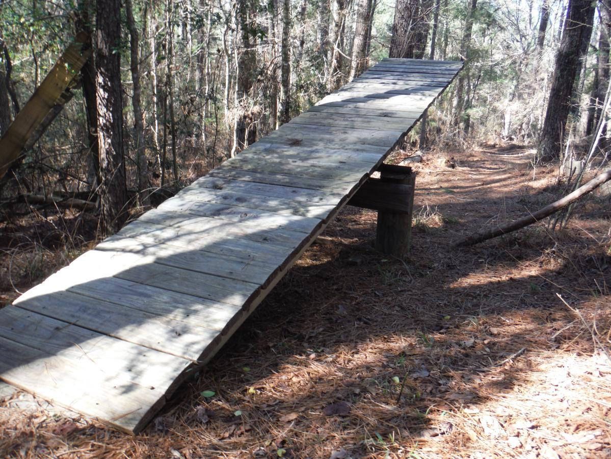 A wooden ramp set up in a forested area, resting on a vertical post, with a dirt path lined by pine needles and trees in the background. Mt. Zion Bike Trails mountain bike trail.