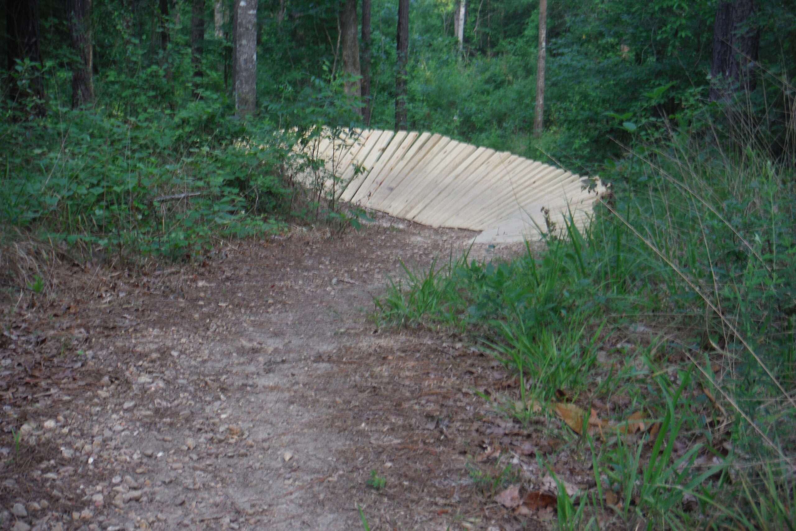 A winding dirt path through a dense forest, leading to a wooden ramp or structure set among trees and greenery. The ground is uneven, covered with small rocks and natural debris, while the surrounding foliage is lush and vibrant. Mt. Zion Bike Trails mountain bike trail.