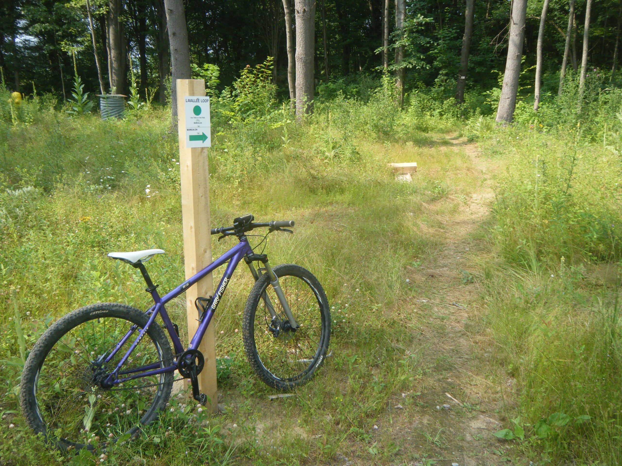 A purple mountain bike leaning against a wooden signpost in a grassy area, indicating the "Laurelle Loop" trail with a green directional arrow. The scene is surrounded by trees and lush greenery, with a dirt path leading into the woods. Lavallee loop mountain bike trail.