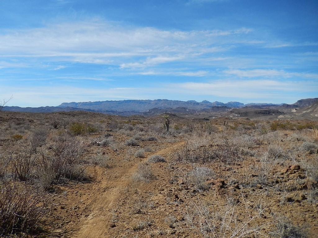 A desert landscape featuring a winding dirt path leading into the distance, surrounded by sparse vegetation and rocky terrain. In the background, distant mountains are visible under a clear blue sky with a few wispy clouds. Big Bend State Park mountain bike trail.
