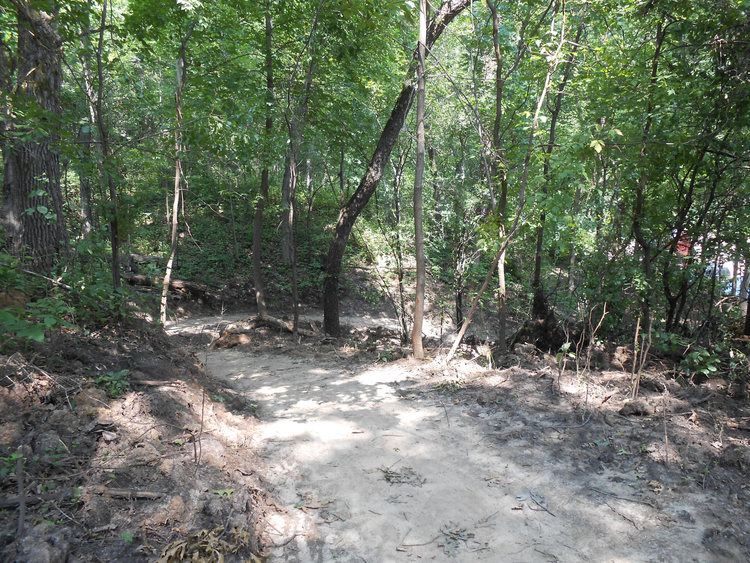 A winding dirt path through a lush green forest, surrounded by tall trees and dense foliage. Sunlight filters through the leaves, casting shadows on the ground. The trail appears slightly worn, indicating frequent use, with some exposed roots and patches of bare soil along the edges. Rotary Vista mountain bike trail.