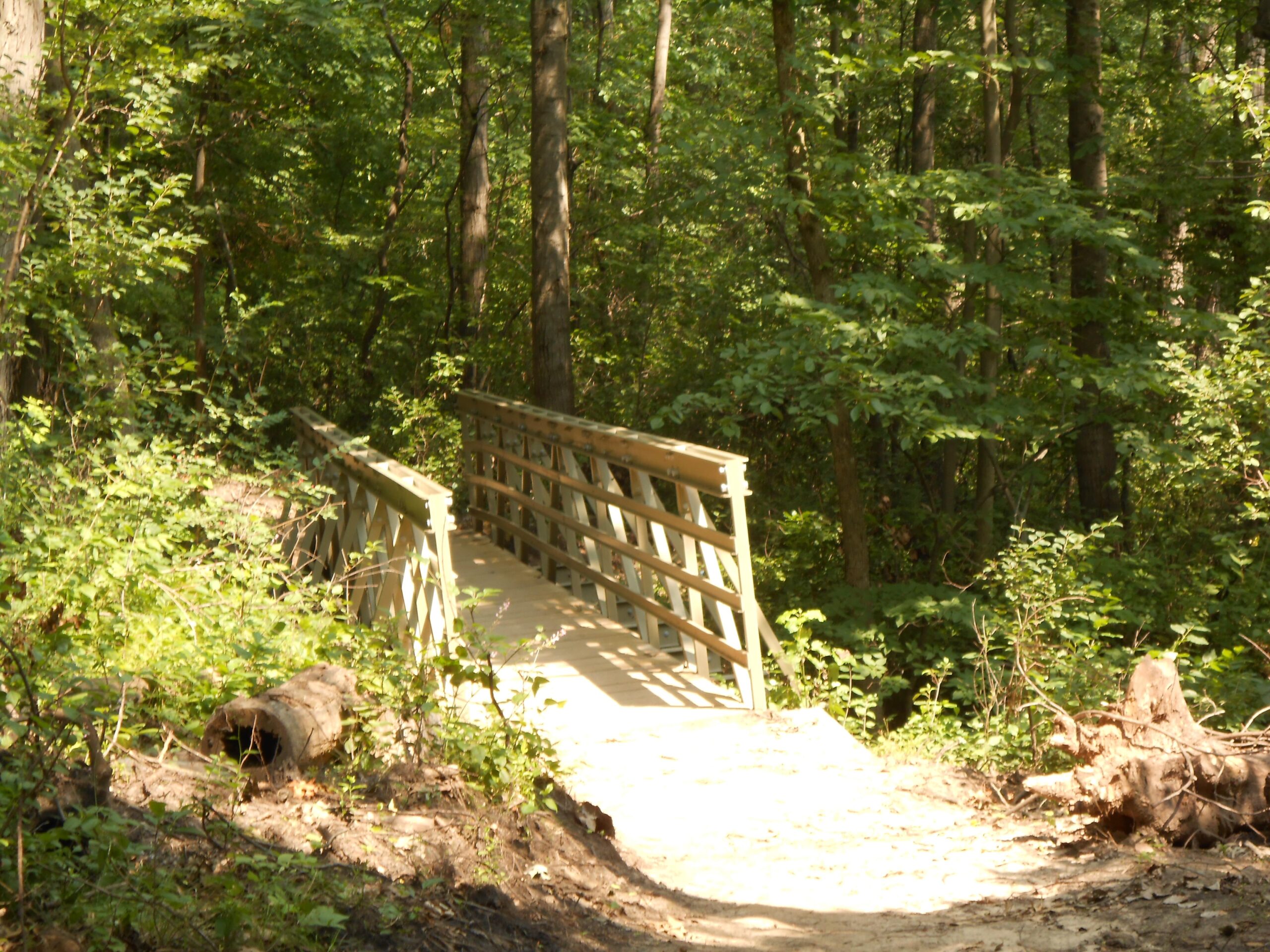 A wooden footbridge crossing over a small pathway in a dense, green forest. The scene is surrounded by lush vegetation and tall trees, with sunlight filtering through the leaves, creating a serene natural atmosphere. Rotary Vista mountain bike trail.