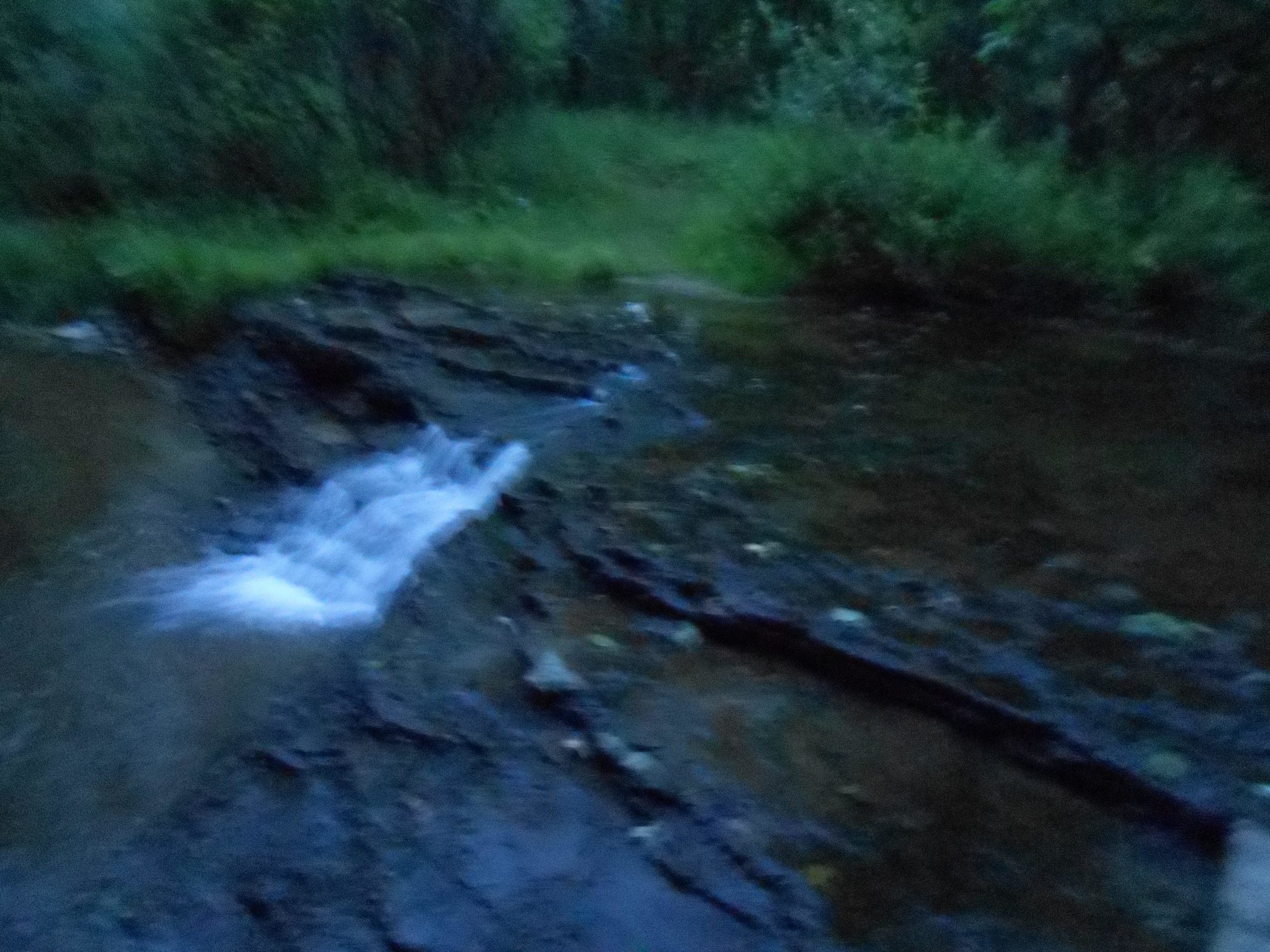 A dimly lit scene depicting a small stream flowing over rocky terrain, surrounded by lush greenery. The water appears blurred, suggesting motion, while the background features dark foliage and grass, indicating a tranquil, natural setting. Baird Creek mountain bike trail.