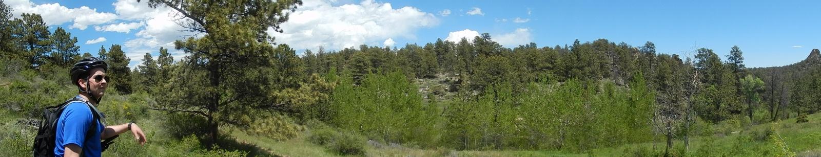 A cyclist, wearing a helmet and sunglasses, stands on a trail looking out over a lush, green landscape filled with trees and undergrowth under a bright blue sky with fluffy clouds. The scene captures the beauty of nature, highlighting the tranquility of the outdoors. Curt Gowdy State Park mountain bike trail.