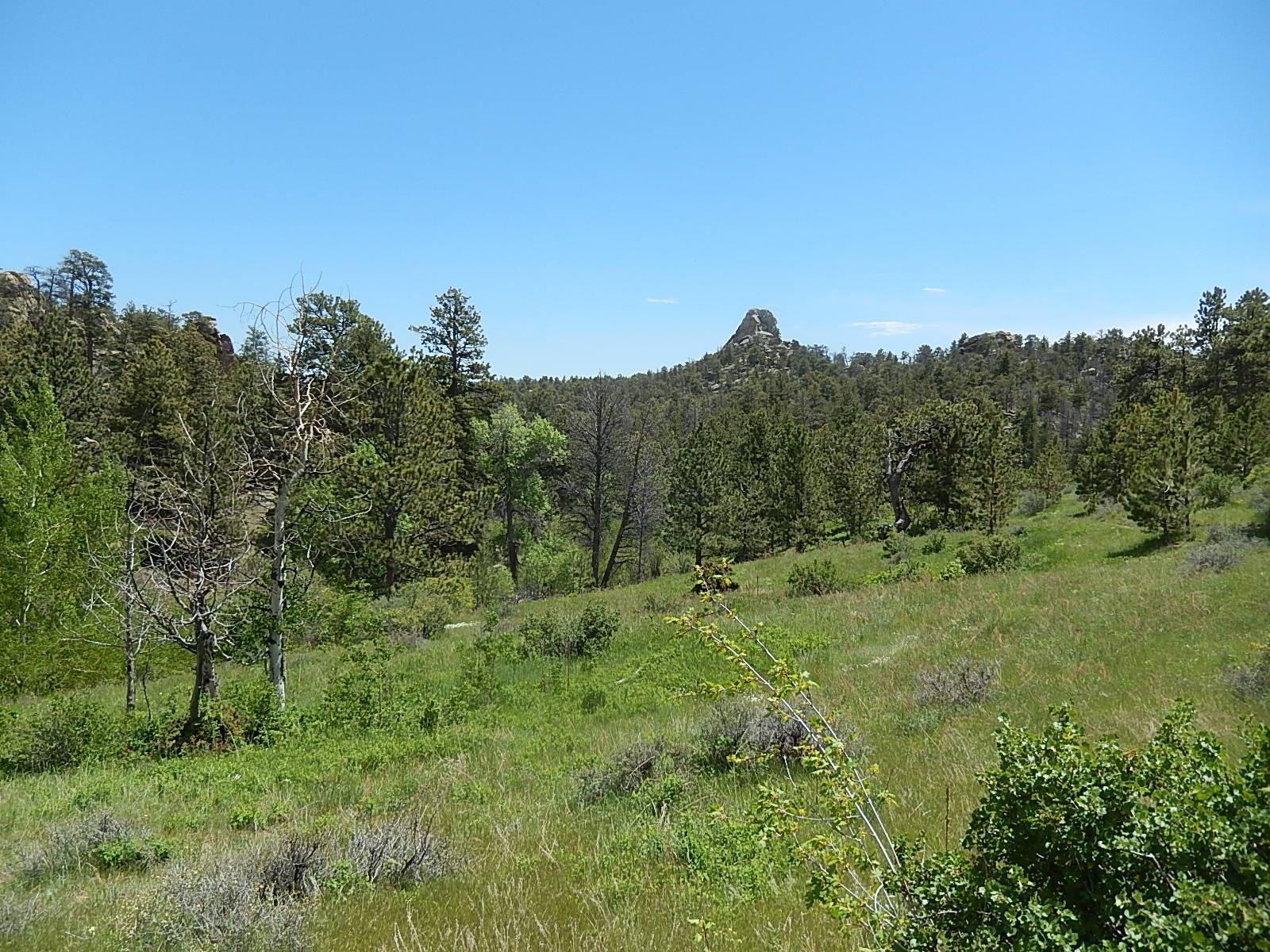 A scenic view of a mountainous landscape featuring green meadows and clusters of trees, under a clear blue sky. Rocky formations rise prominently in the background, surrounded by a diverse array of foliage. Curt Gowdy State Park mountain bike trail.