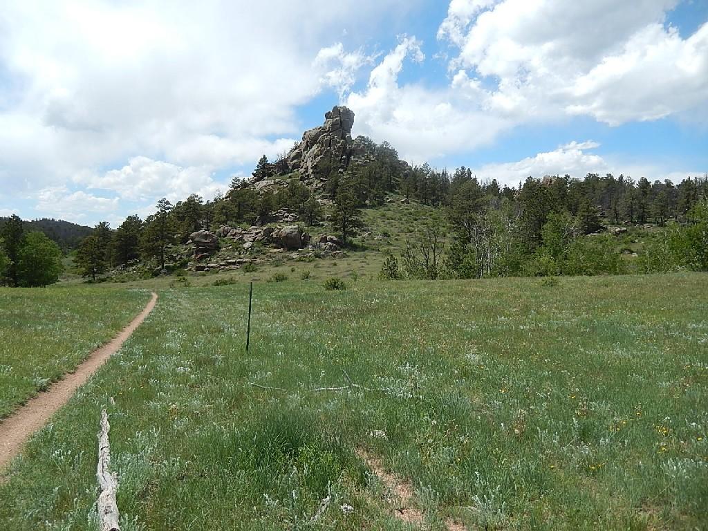 A dirt path winds through a grassy meadow leading towards a rocky hilltop surrounded by trees under a partly cloudy blue sky. Curt Gowdy State Park mountain bike trail.