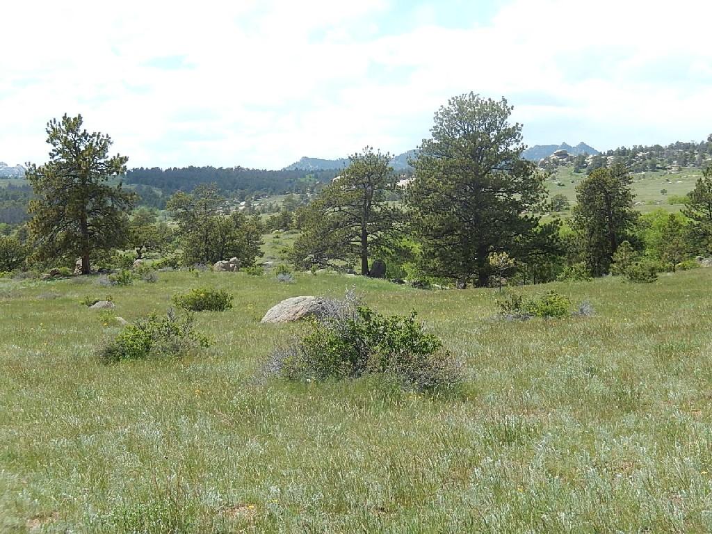 A scenic view of a grassy landscape dotted with low shrubs and boulders, framed by tall evergreen trees. The background features rolling hills and a cloudy sky, creating a serene and natural atmosphere. Curt Gowdy State Park mountain bike trail.