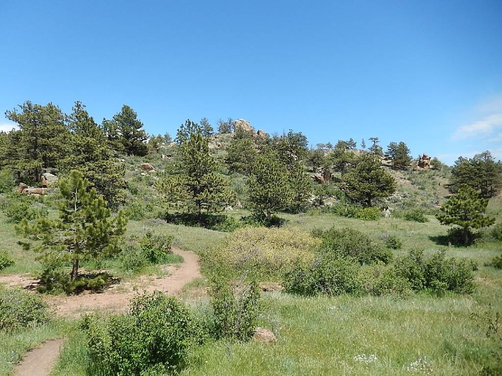 Scenic landscape featuring a winding dirt path through a grassy area dotted with shrubs and pine trees, leading up to a rocky hillside under a clear blue sky. Curt Gowdy State Park mountain bike trail.