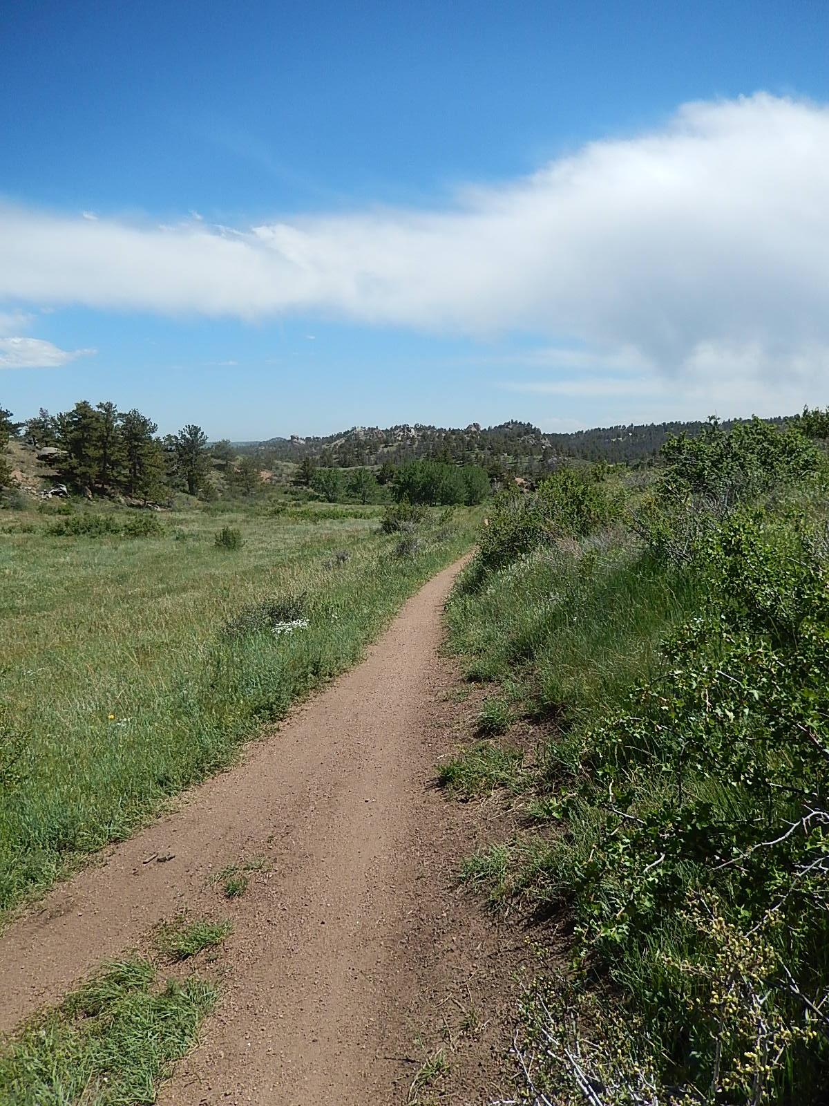 A dirt path meanders through a grassy landscape under a clear blue sky with scattered clouds. Green bushes and trees line the path, which leads toward distant hills. The scene conveys a peaceful, natural setting ideal for outdoor activities like hiking or walking. Curt Gowdy State Park mountain bike trail.