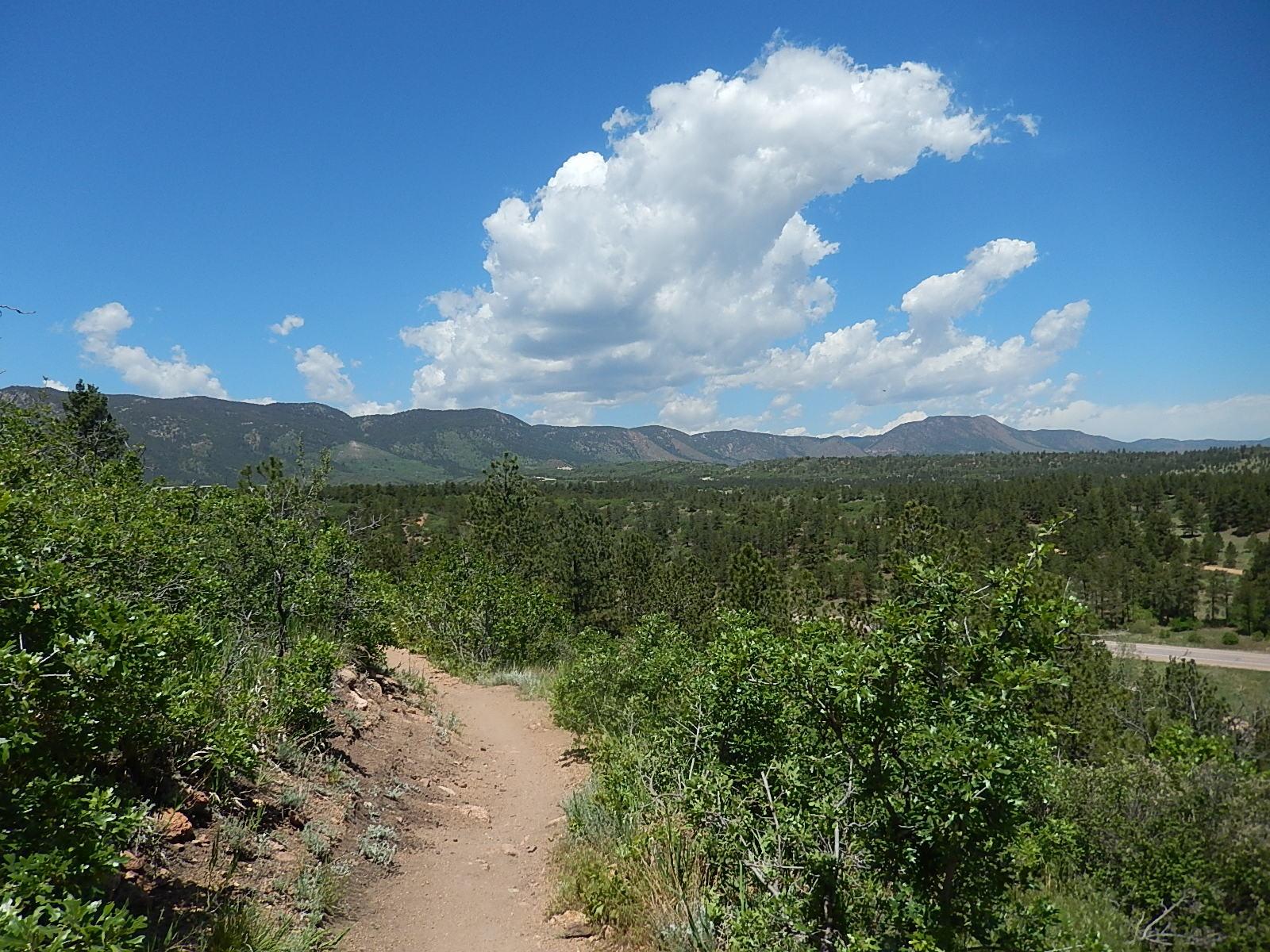 A scenic view of a winding dirt path leading through lush green vegetation, with rolling mountains in the background under a bright blue sky filled with fluffy white clouds. Falcon Trail mountain bike trail.