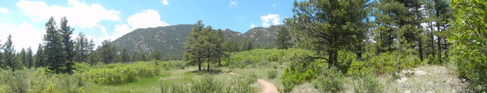 A panoramic view of a lush, green landscape featuring a winding dirt trail surrounded by tall trees and underbrush, with mountains rising in the background under a partly cloudy sky. Falcon Trail mountain bike trail.