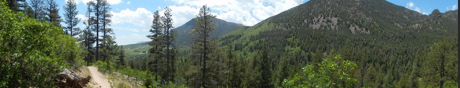 A panoramic view of a lush, green mountain landscape featuring a winding dirt path surrounded by tall pine trees and rolling hills under a bright blue sky with scattered clouds. Falcon Trail mountain bike trail.