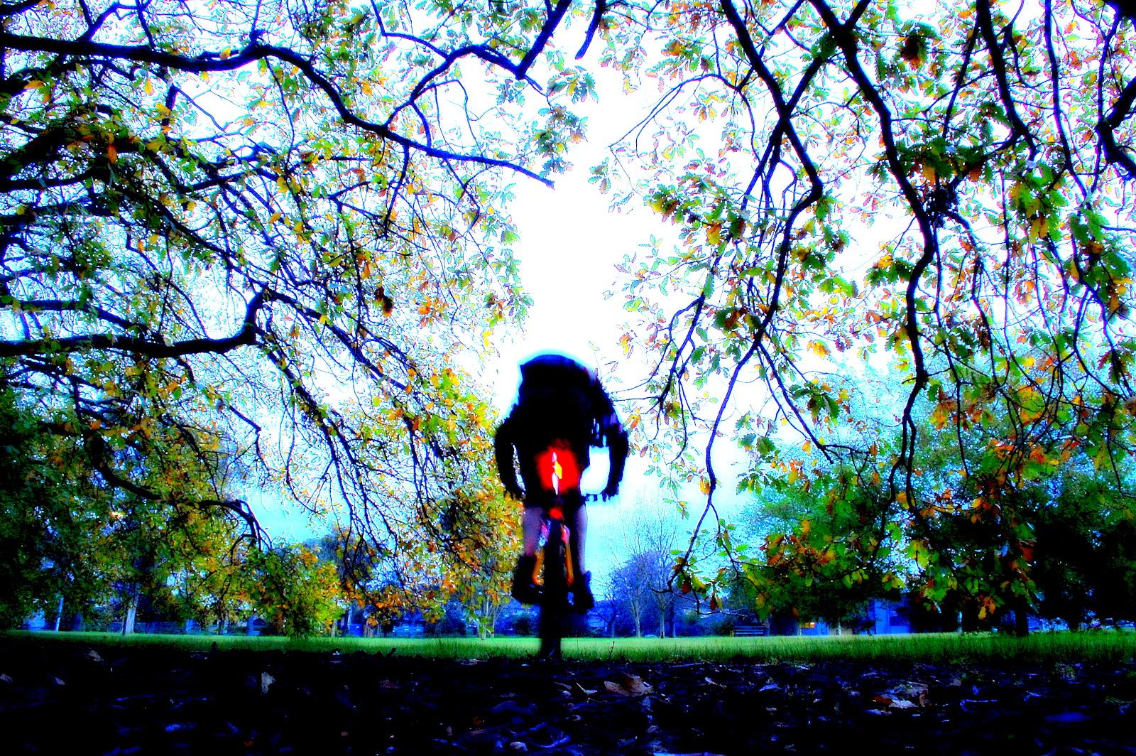 A silhouette of a cyclist riding through a park, framed by overhanging branches with vibrant green and yellow leaves. The scene is illuminated by a bright sky, creating a dynamic and colorful atmosphere. Yarra Trails mountain bike trail.