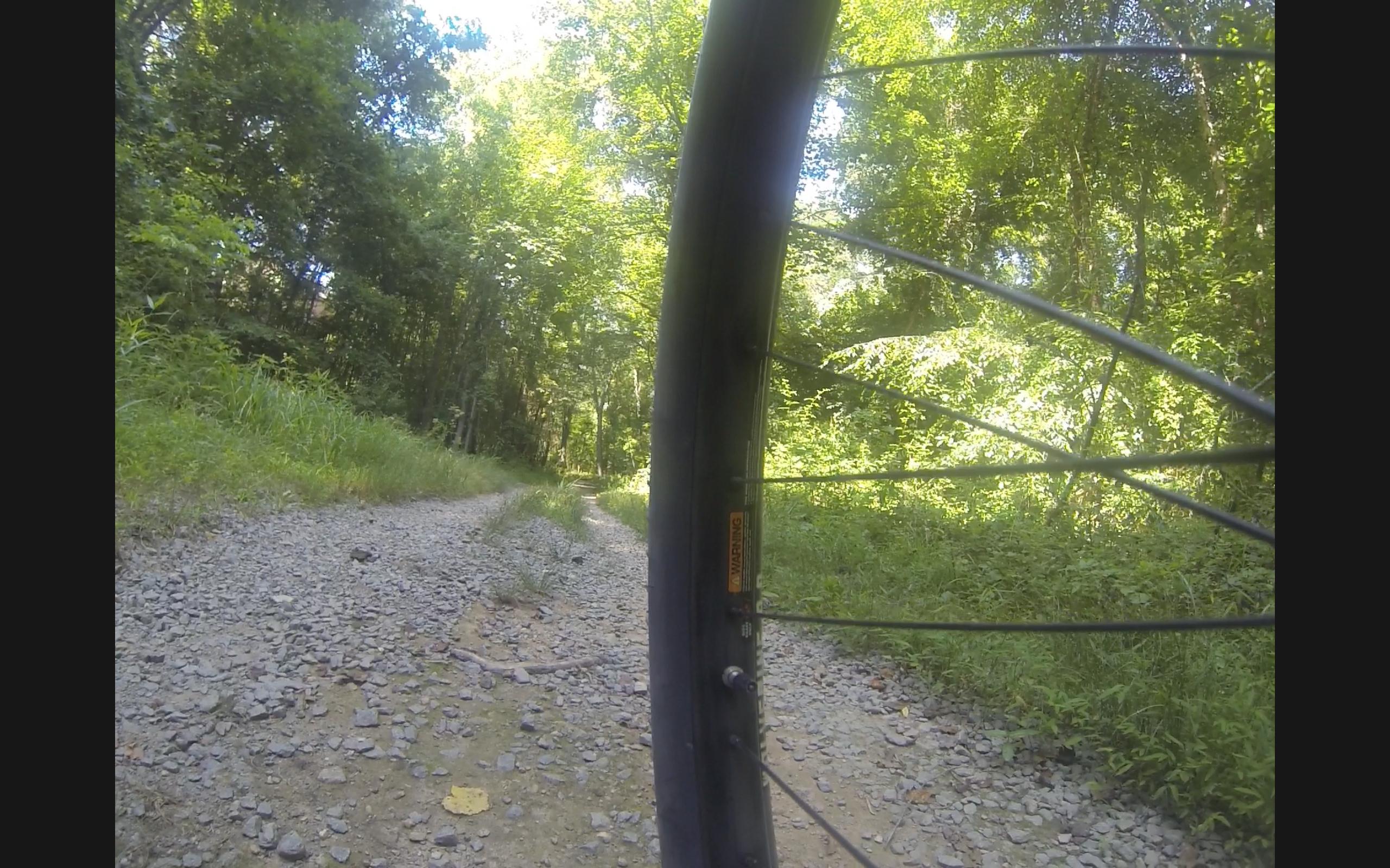An image showing a close-up view of a bicycle tire and wheel, with a rocky and uneven dirt path winding through a lush green forest in the background. Sunlight filters through the trees, highlighting the natural scenery. Difficult Run mountain bike trail.