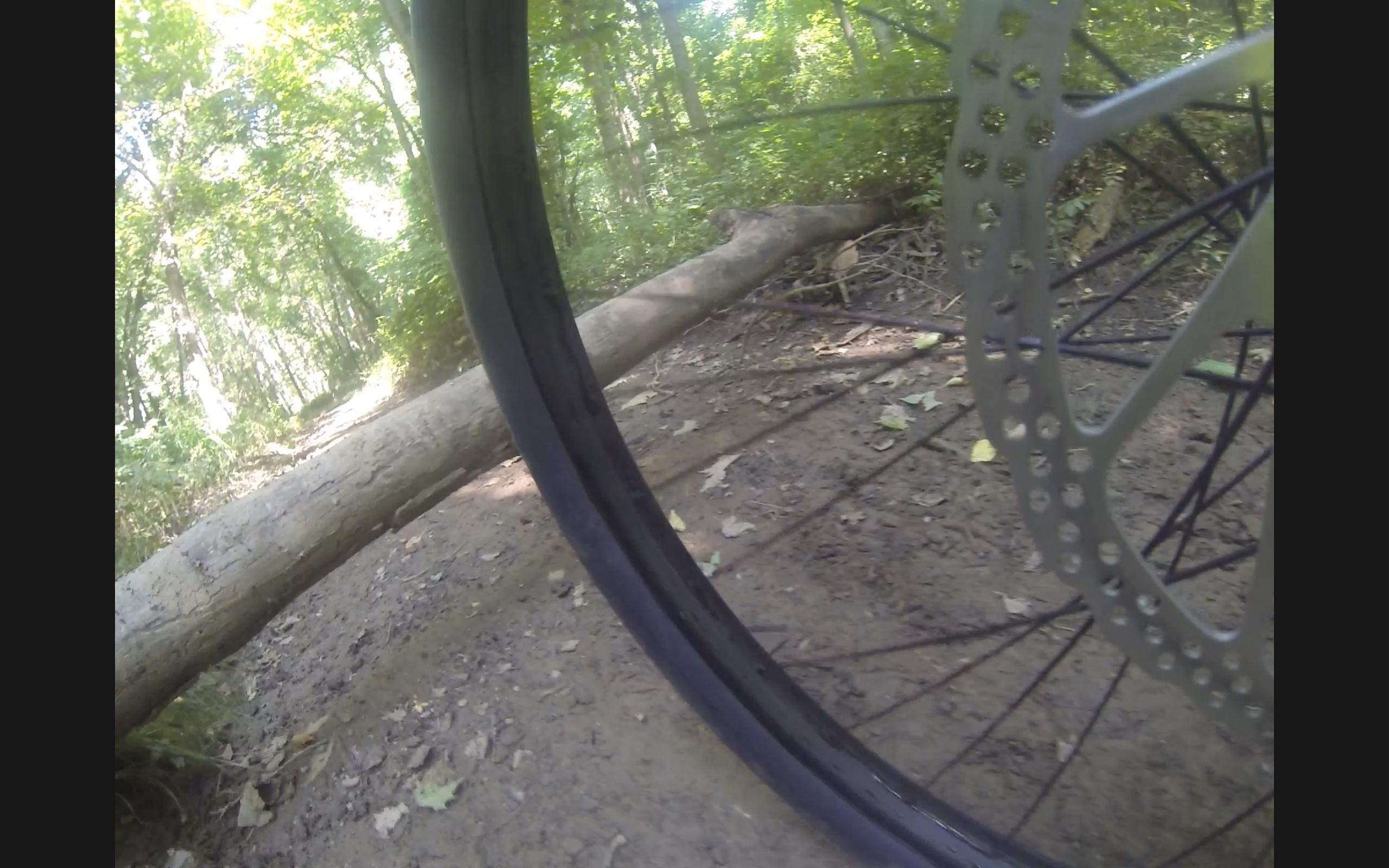 A close-up view of a bicycle tire and brake rotor on a dirt trail, with a fallen log visible in the background surrounded by trees and greenery. Sunlight filters through the leaves, creating a natural forest setting. Difficult Run mountain bike trail.