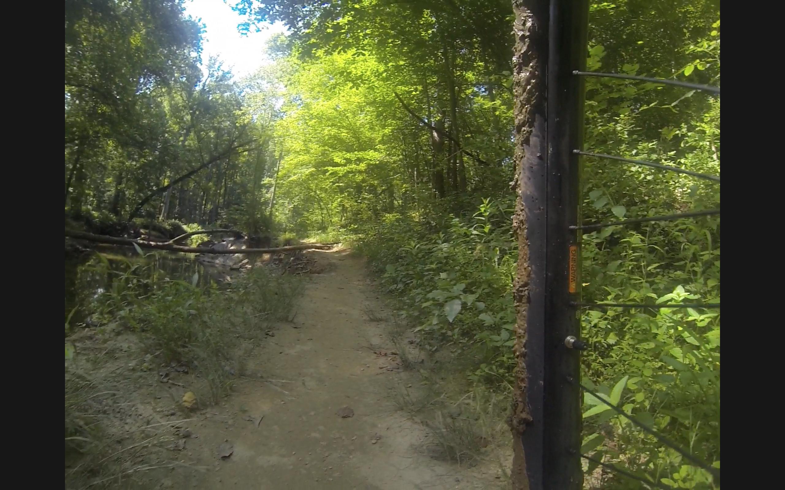 A wooded trail seen through a gate, with lush green trees and underbrush lining a dirt path. Sunlight filters through the leaves, illuminating the scene. A fallen log and a creek are visible in the background. C&O Canal mountain bike trail.