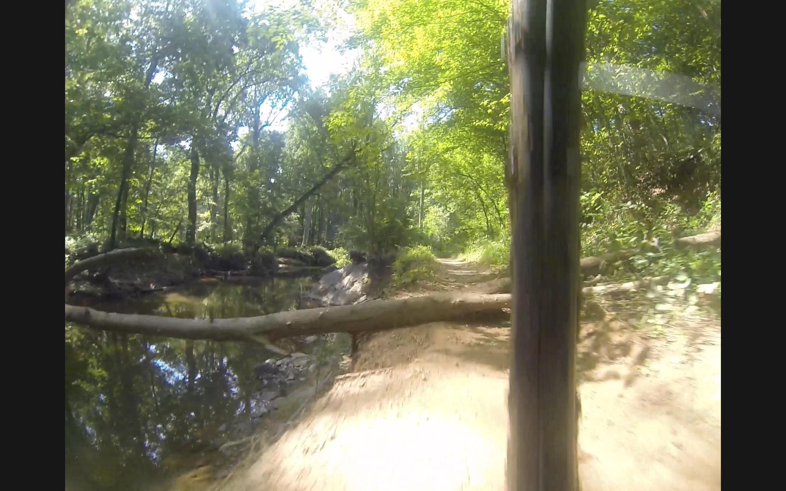 A scenic view of a wooded trail beside a stream, featuring vibrant green trees and sunlight filtering through the leaves. A fallen log crosses the sandy path, leading toward the water’s edge, creating a tranquil and natural setting. Difficult Run mountain bike trail.