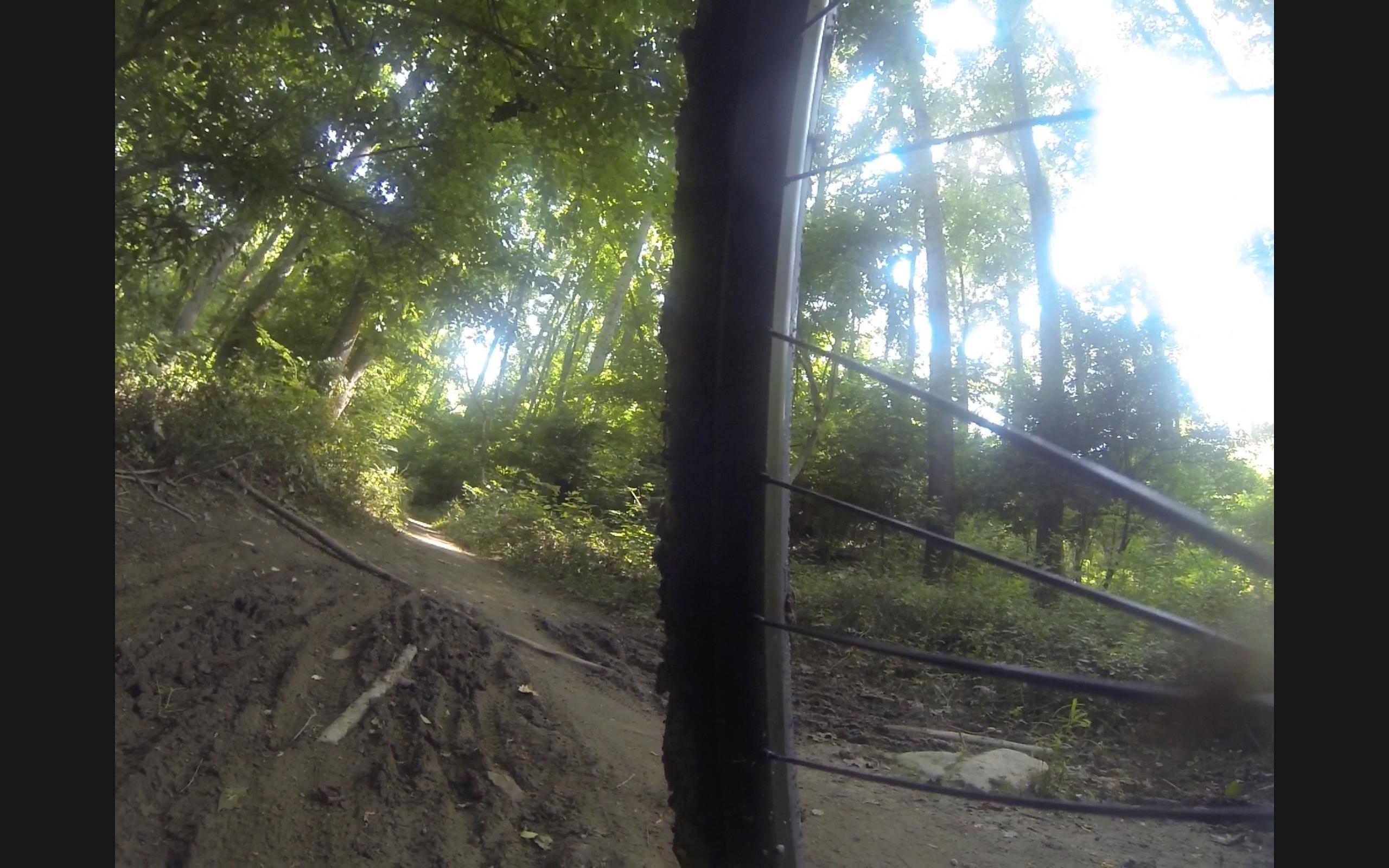 A close-up view of a mountain bike tire and part of the bike frame, positioned on a dirt trail surrounded by lush green trees. Sunlight filters through the leaves, illuminating the path ahead, which is slightly muddy with visible tire tracks. Difficult Run mountain bike trail.