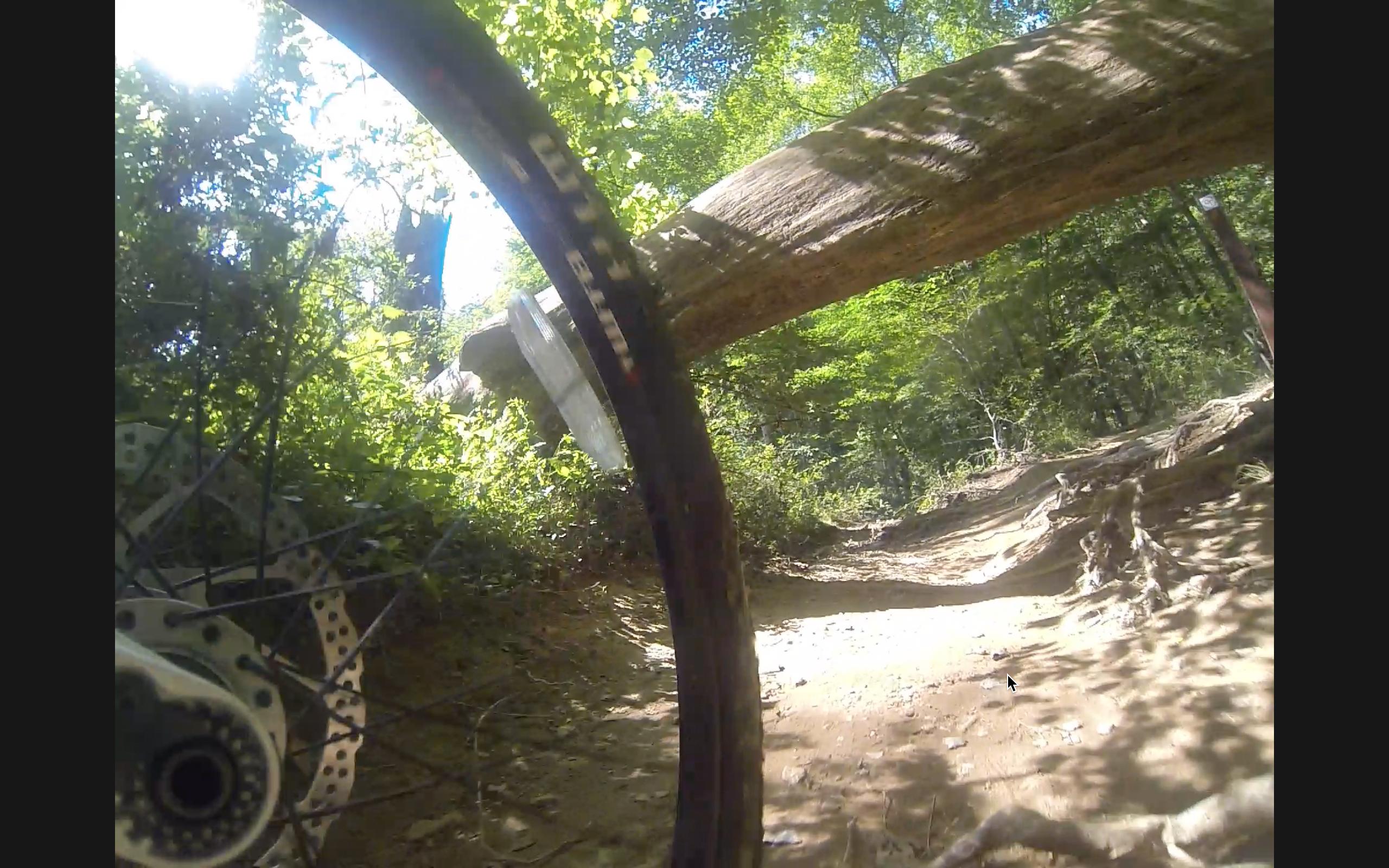 A close-up view of a mountain bike wheel and disc brake positioned on a dirt trail, with a fallen tree log visible above the wheel. The surrounding area is lush with green foliage, indicating a sunny day in a forested environment. Difficult Run mountain bike trail.