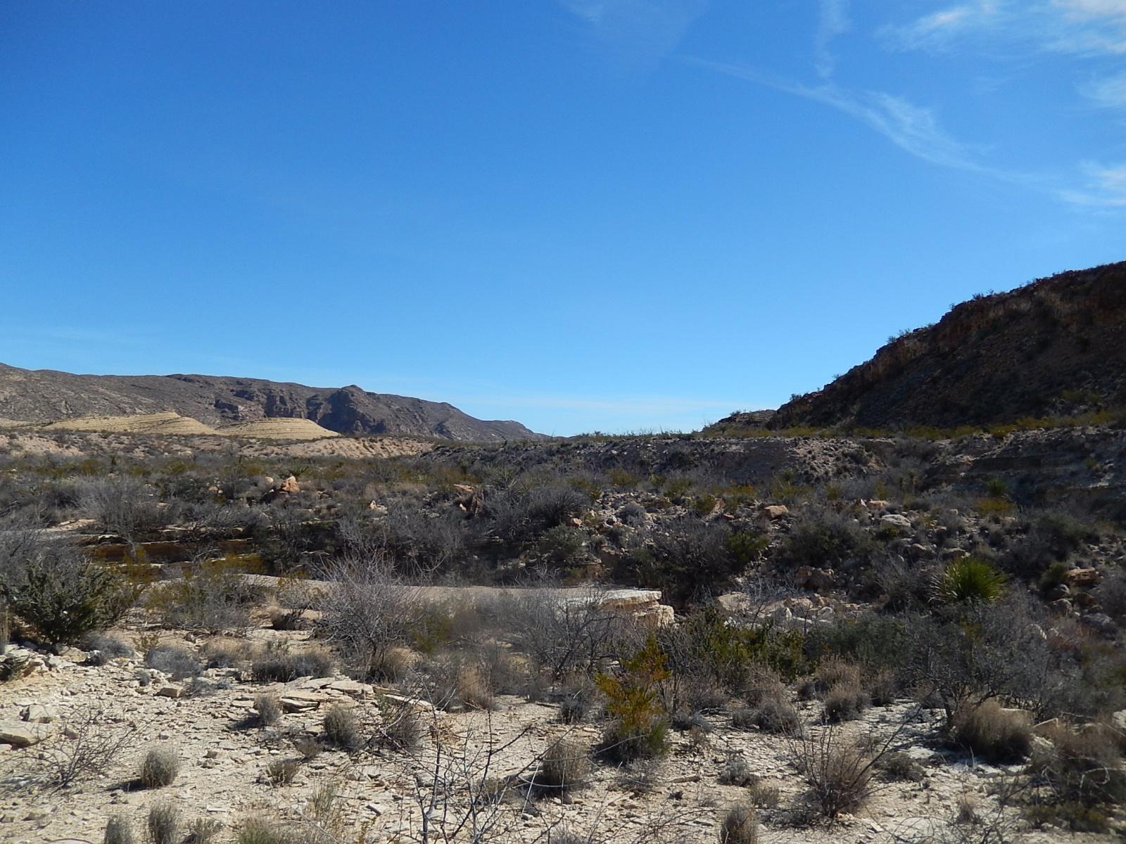 A wide view of a desert landscape featuring low shrubs and sparse vegetation, with rocky hills and mountains in the background under a clear blue sky. Big Bend Ranch State Park mountain bike trail.