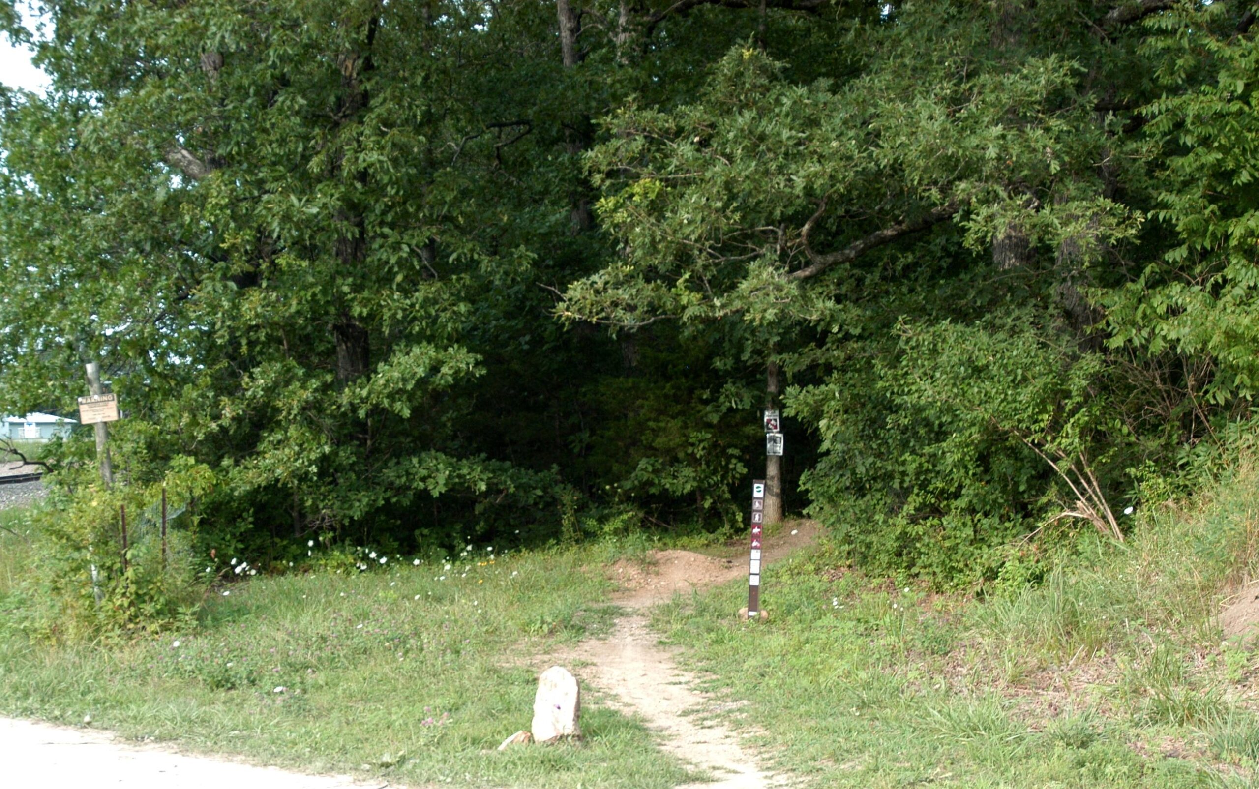A dirt path leading into a wooded area, flanked by tall trees and greenery. A trail marker is visible on the right side of the path, along with a small sign nearby. In the foreground, there is a stone near the edge of the path, and wildflowers can be seen in the grass. The scene conveys a peaceful outdoor setting. Forest City Trail mountain bike trail.
