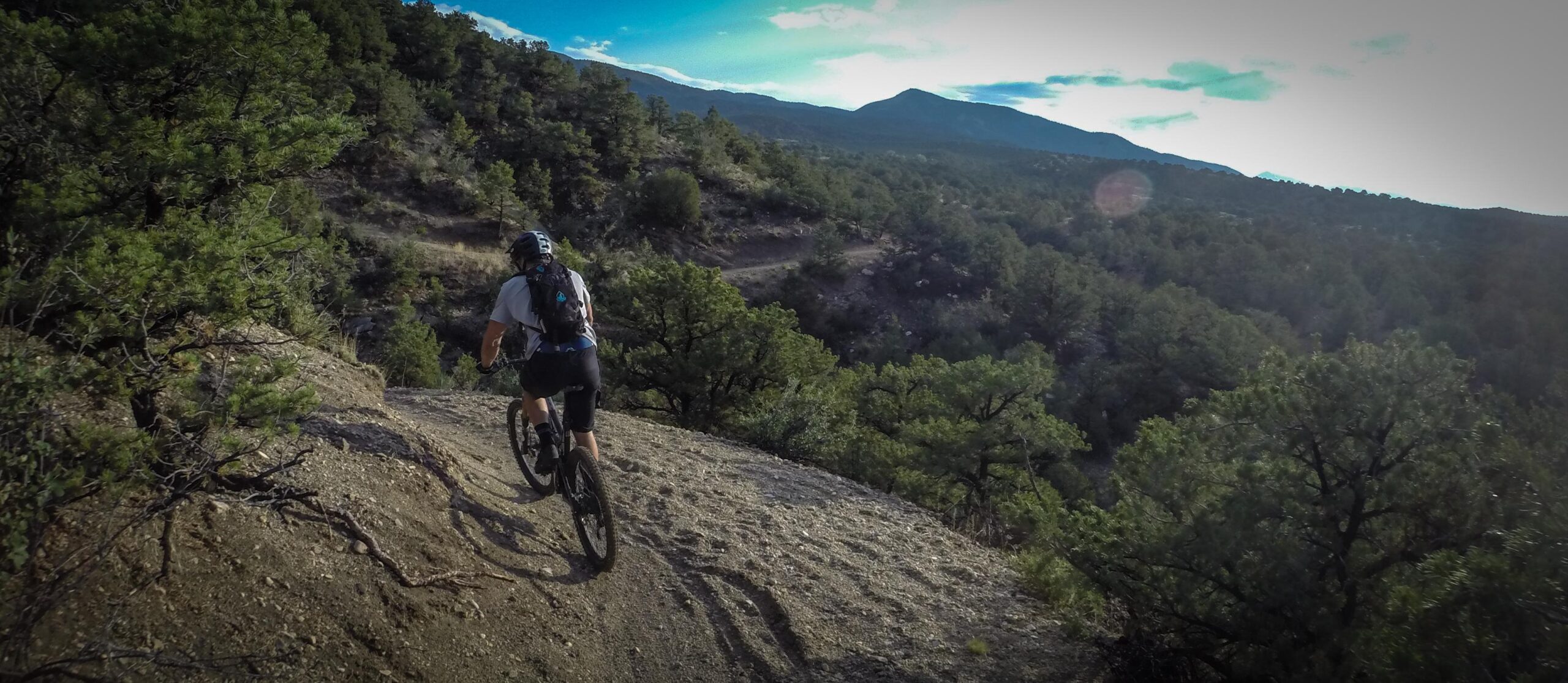 A mountain biker ascends a dirt trail surrounded by lush greenery and rolling hills under a partly cloudy sky. The rugged terrain suggests a scenic and adventurous outdoor experience. Methodist Mountain mountain bike trail.