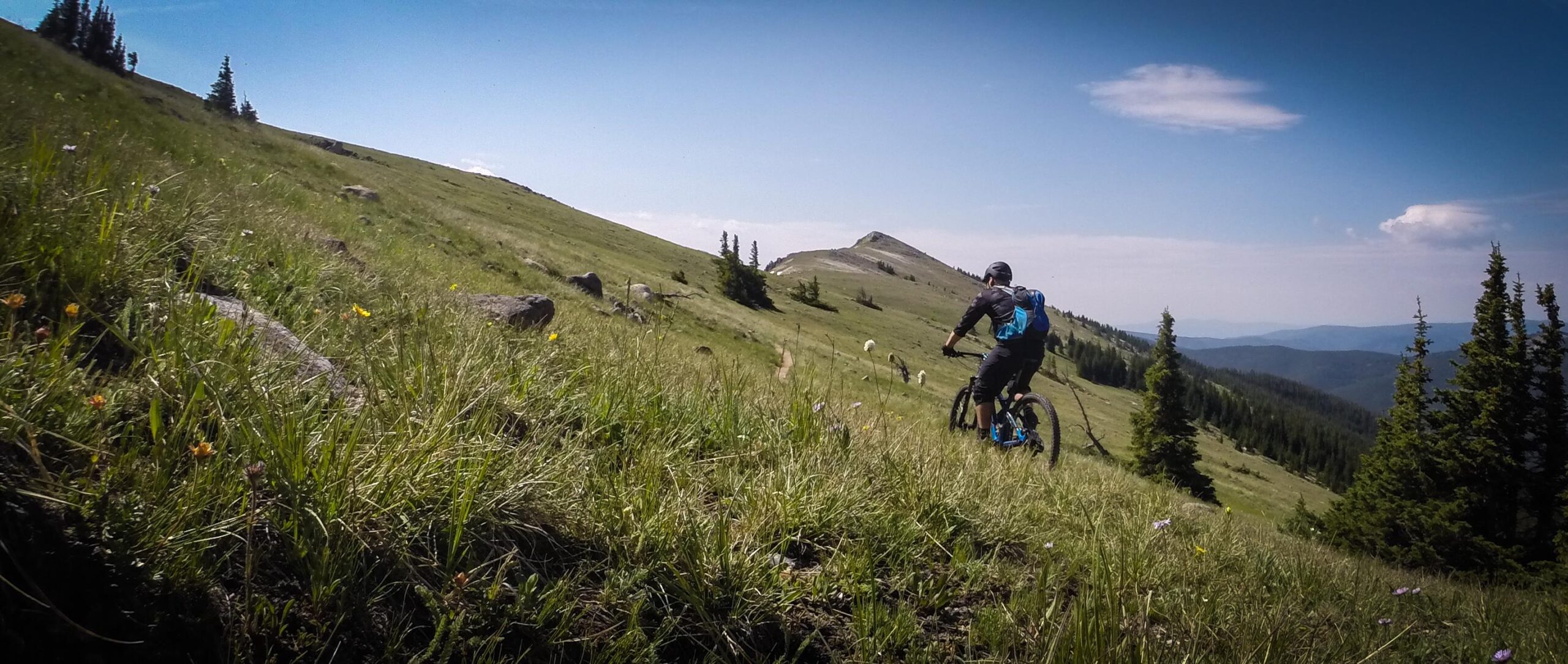A mountain biker riding through a lush green hillside with scattered wildflowers and distant mountain peaks under a clear blue sky. Monarch Crest Trail mountain bike trail.
