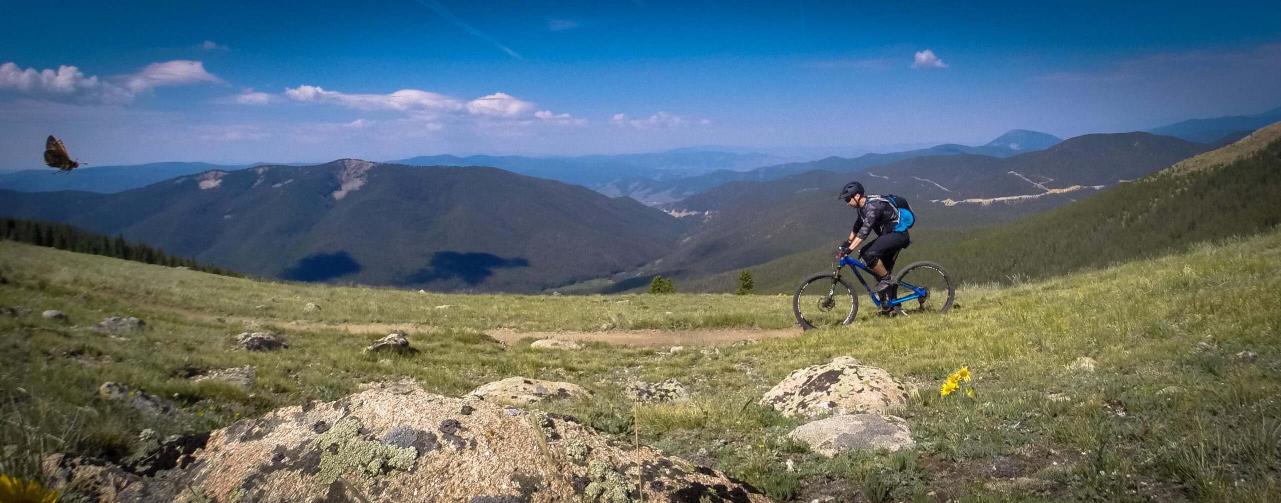 A mountain biker riding on a grassy trail surrounded by rocky terrain, with a scenic backdrop of rolling mountains and a clear blue sky. A butterfly is flying in the foreground, adding to the vibrant atmosphere of the outdoor setting. Monarch Crest Trail mountain bike trail.
