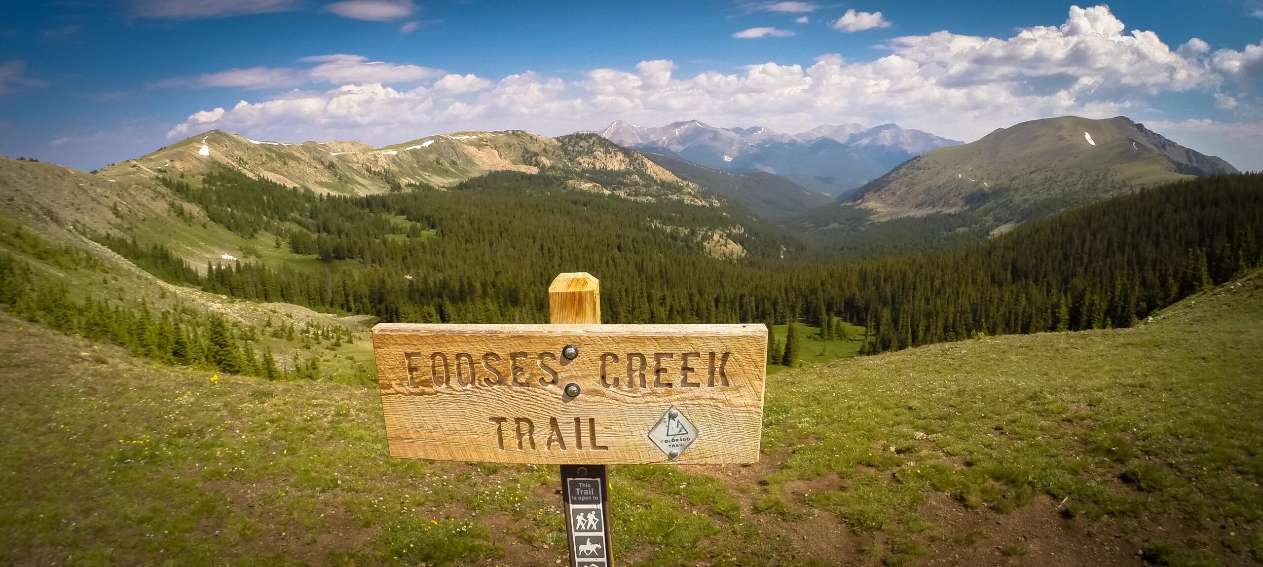 A wooden signpost reading "Moose Creek Trail" stands prominently in the foreground, surrounded by rolling green hills and dense coniferous forests. The background features majestic mountain ranges under a blue sky with scattered clouds. The trail sign is marked with symbols indicating that the trail is open to hiking and horseback riding. Monarch Crest Trail mountain bike trail.