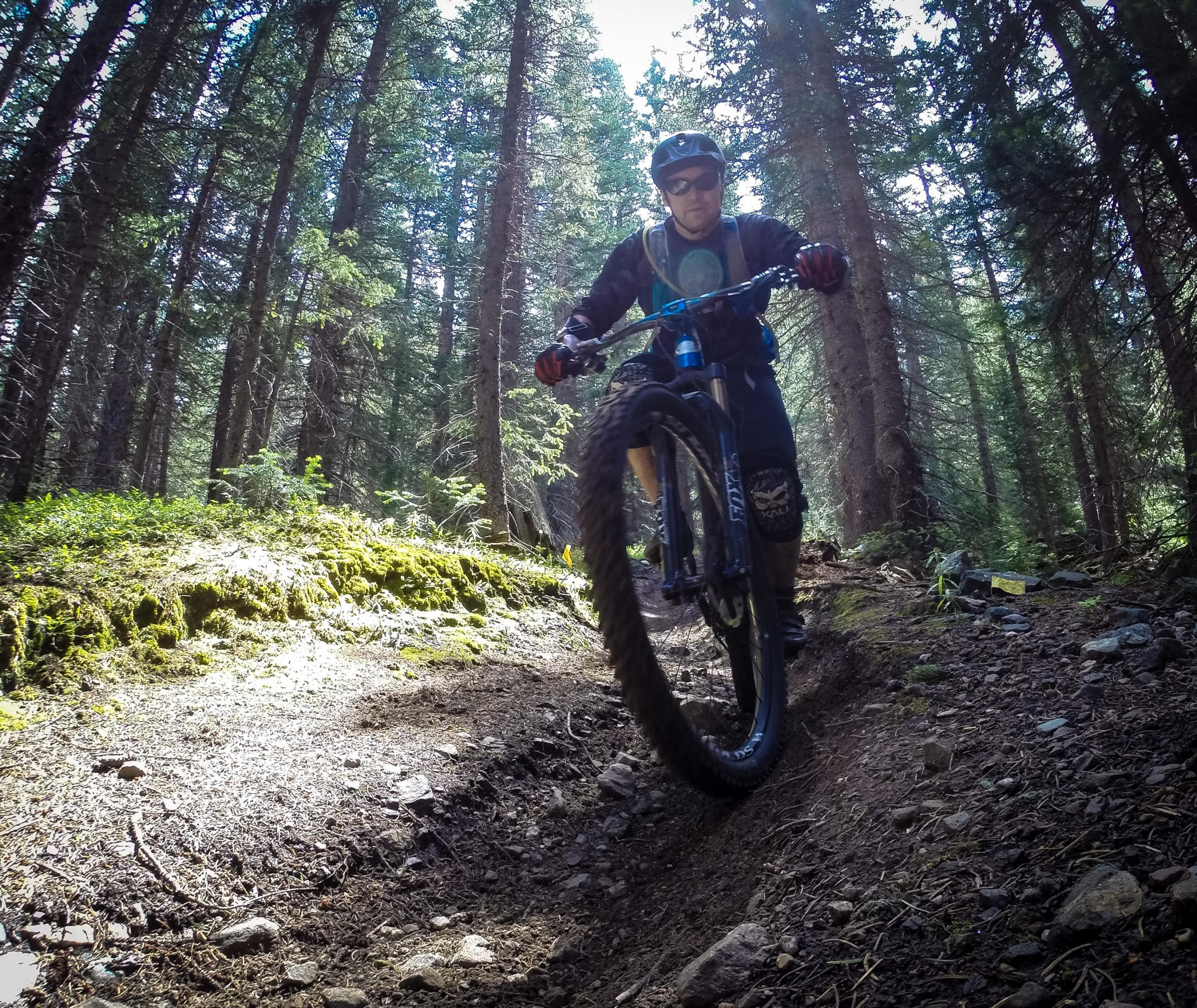 A mountain biker riding on a dirt trail surrounded by tall trees in a forest, with sunlight filtering through the foliage. The biker is performing a wheelie on a blue mountain bike, wearing a helmet and sunglasses, and is dressed in protective gear. Green's Creek mountain bike trail.