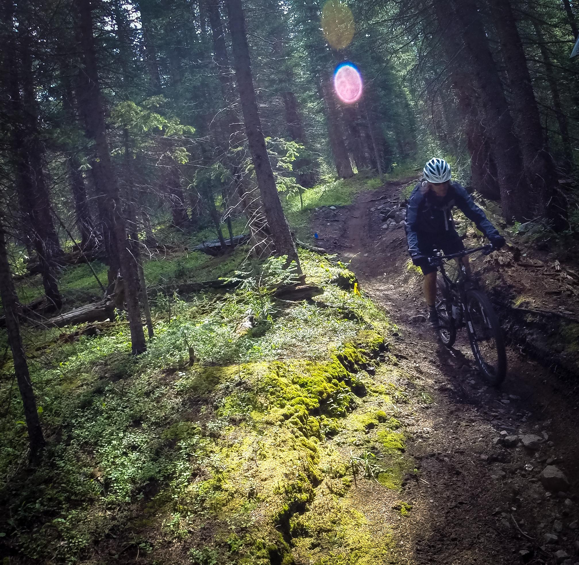 A mountain biker rides along a narrow, moss-covered trail through a dense forest, surrounded by tall trees. Sunlight filters through the foliage, creating dappled light on the ground. A bright lens flare is visible in the upper left corner of the image. Green