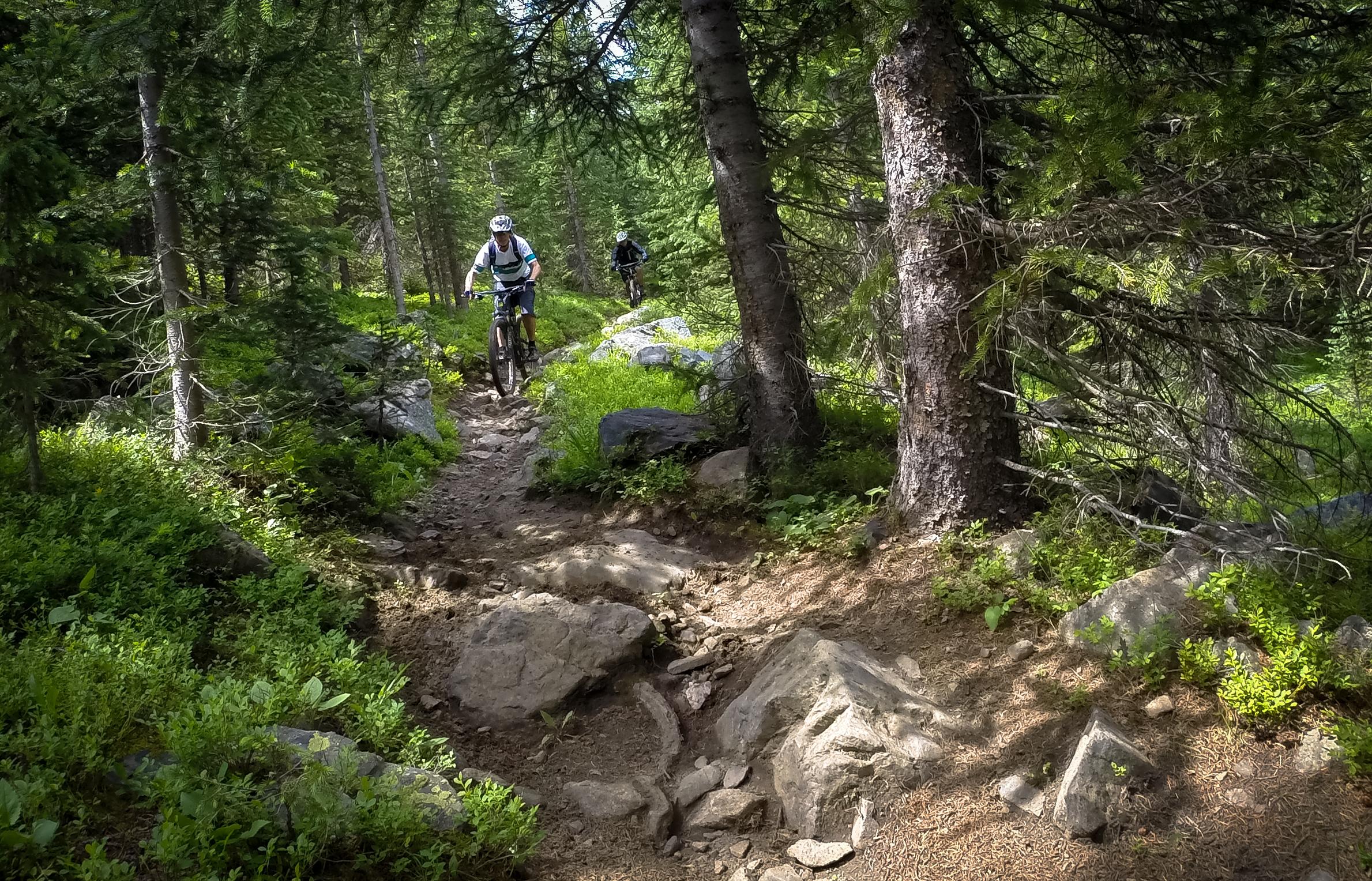 Two mountain bikers navigating a rocky trail through a lush, green forest. The scene features tall trees and a path marked by stones and roots, highlighting the natural terrain suited for outdoor biking activities. Green's Creek mountain bike trail.