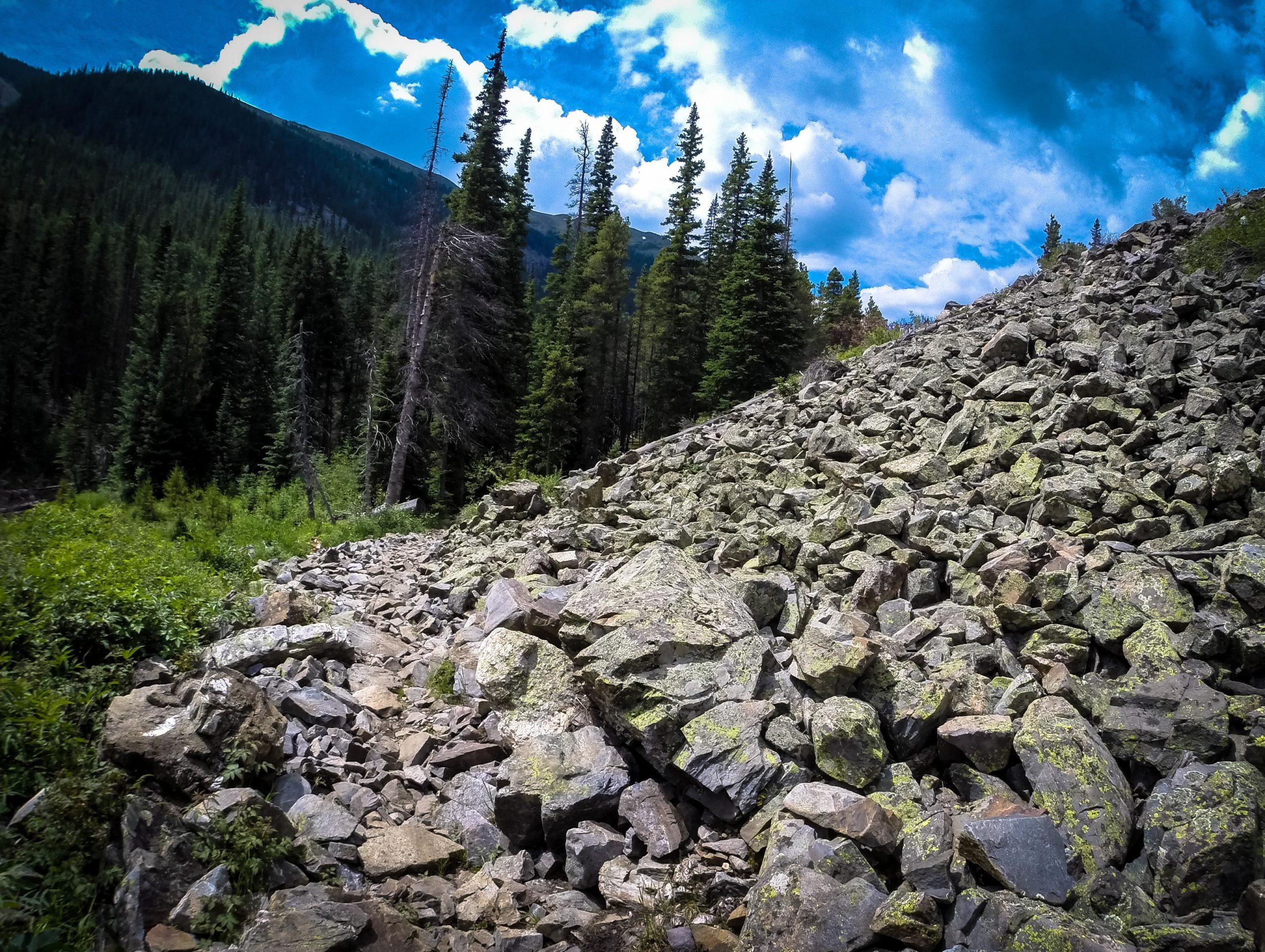 A rocky pathway leads up a slope covered in scattered stones, surrounded by lush green vegetation and tall evergreen trees. The background features a mountainous landscape under a partly cloudy blue sky. Green's Creek mountain bike trail.