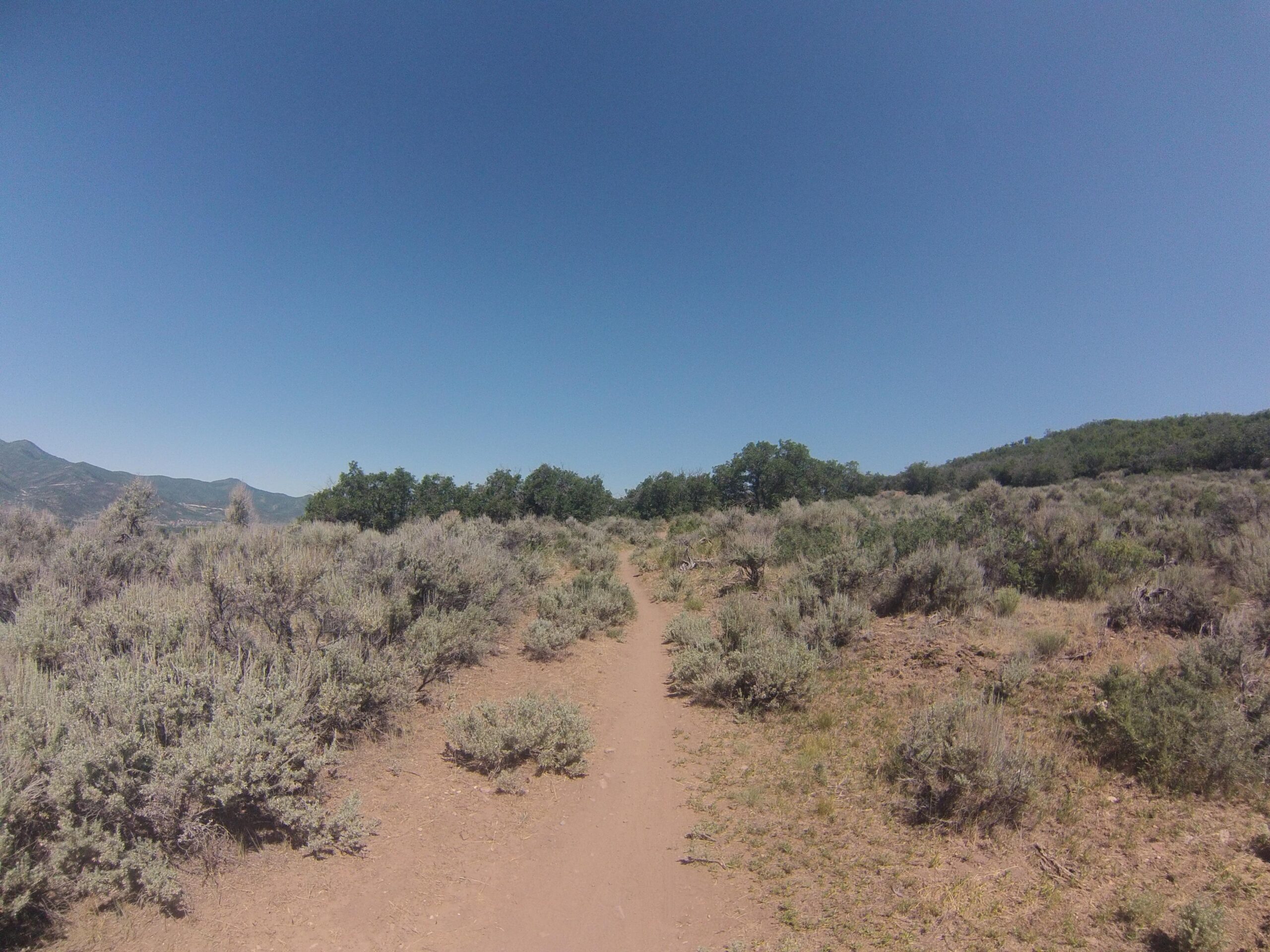 A dirt path winding through a landscape of sagebrush and low shrubs, with rolling hills and a clear blue sky in the background. Round Valley mountain bike trail.