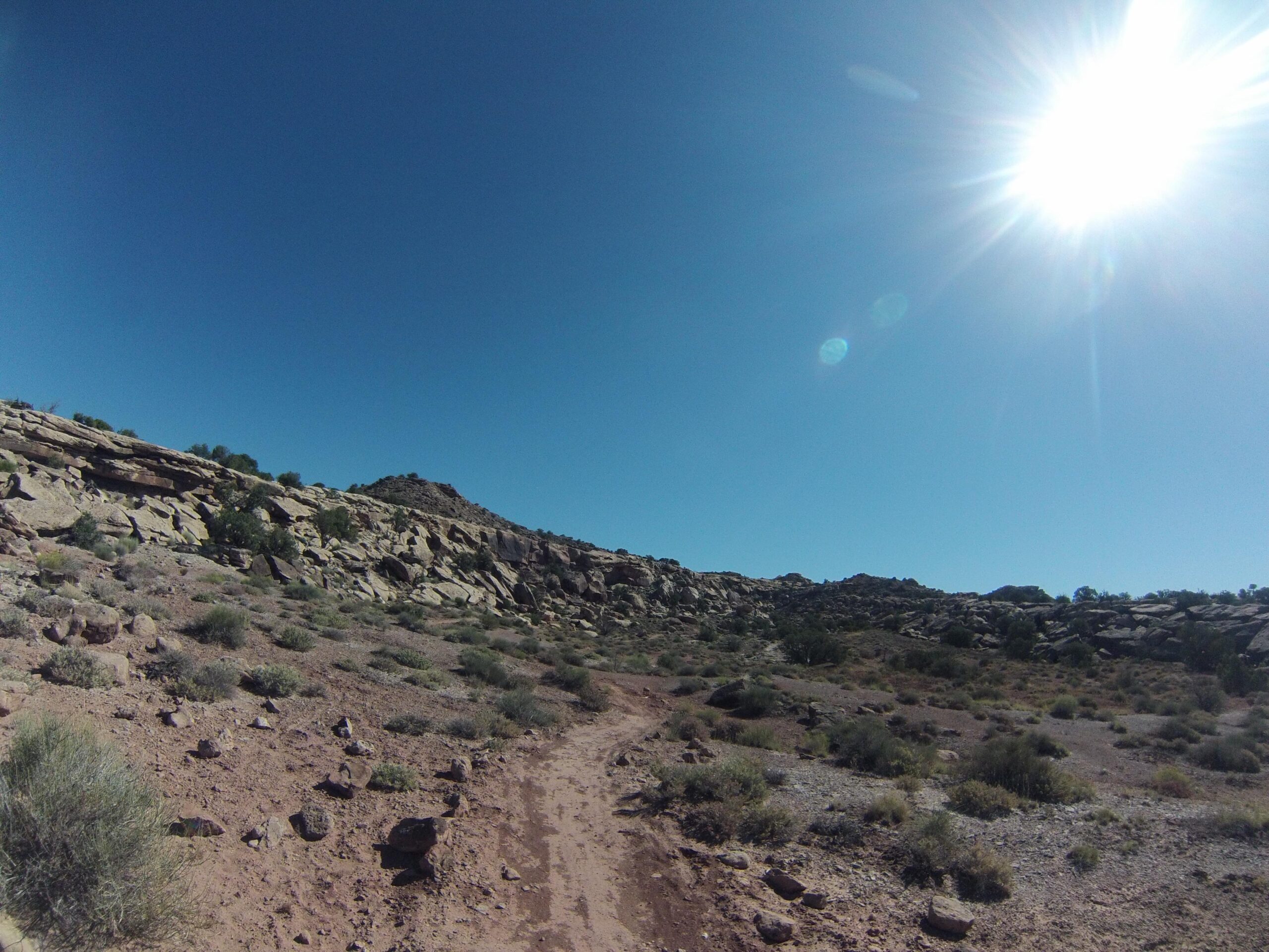 A sunlit desert landscape featuring a dirt trail winding through rocky terrain, dotted with sparse vegetation and a clear blue sky overhead. Klondike Bluffs mountain bike trail.