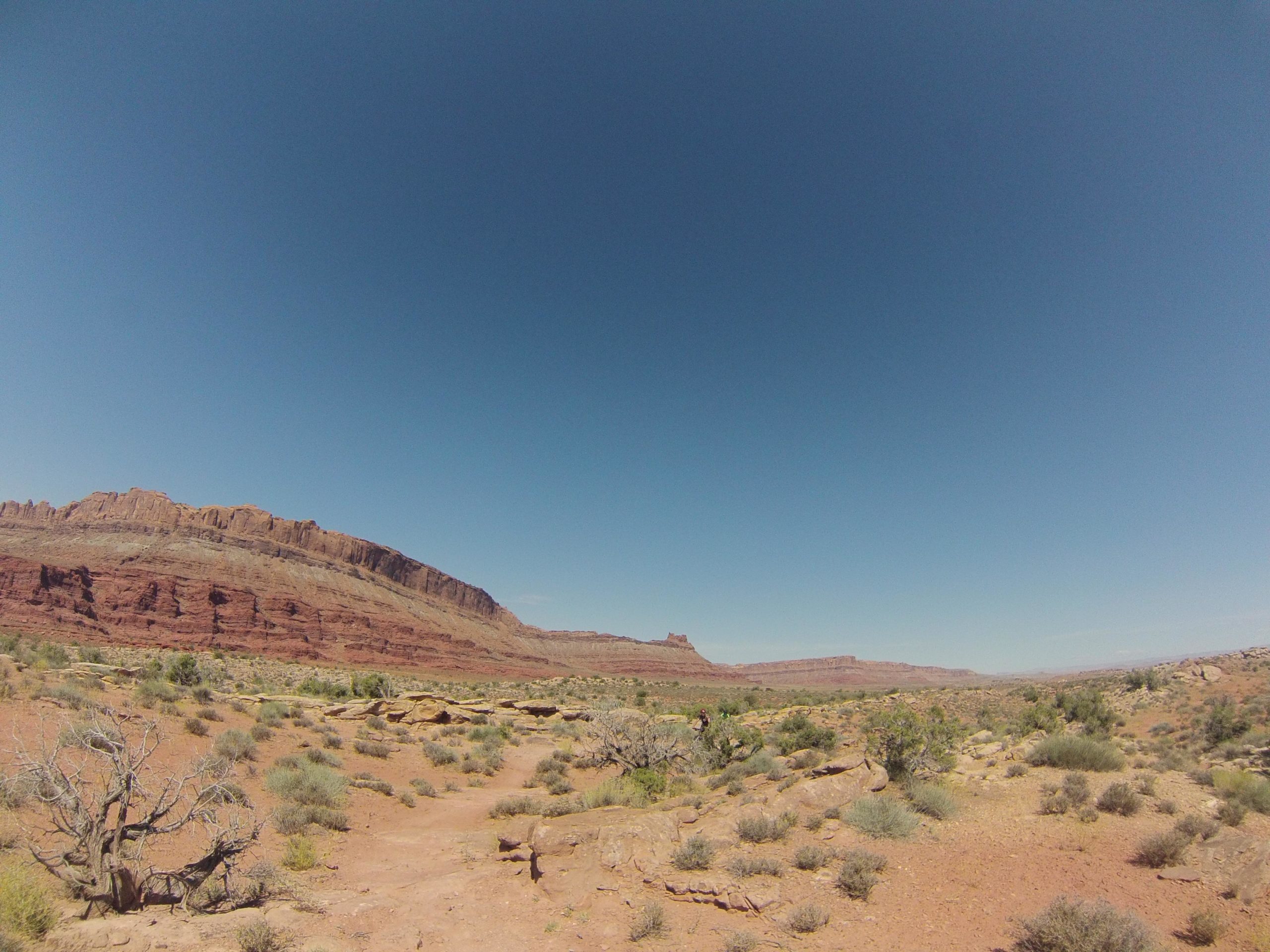 A panoramic view of a desert landscape featuring red rock formations, sparse vegetation, and a clear blue sky. The foreground includes dry shrubs and rocky terrain, stretching towards the distant mesas and cliffs. Moab Brand Trails mountain bike trail.