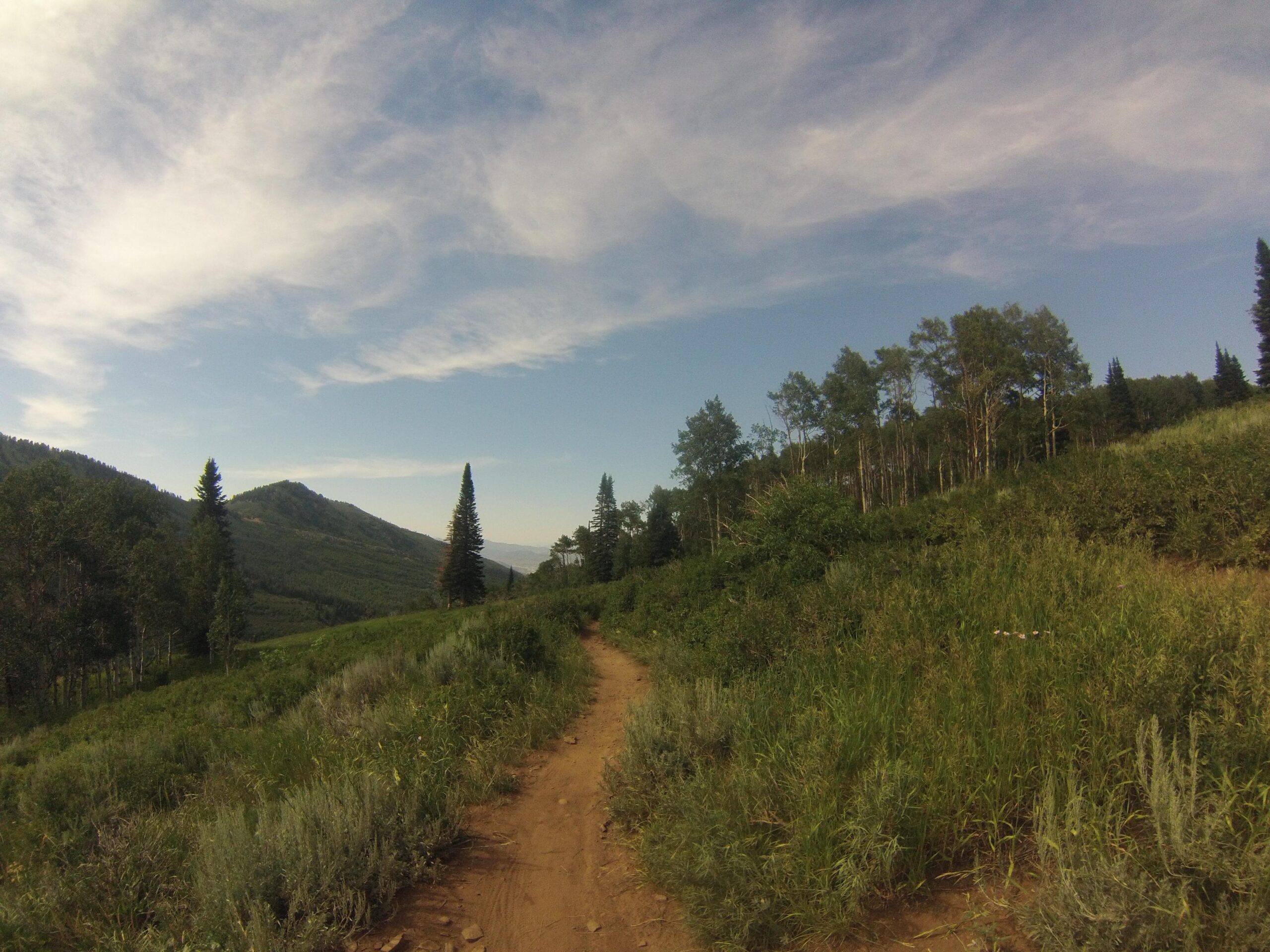 A dirt path winding through lush green vegetation, flanked by trees, leading into the foothills of a mountain range under a clear blue sky with wispy clouds. Mid Mountain mountain bike trail.