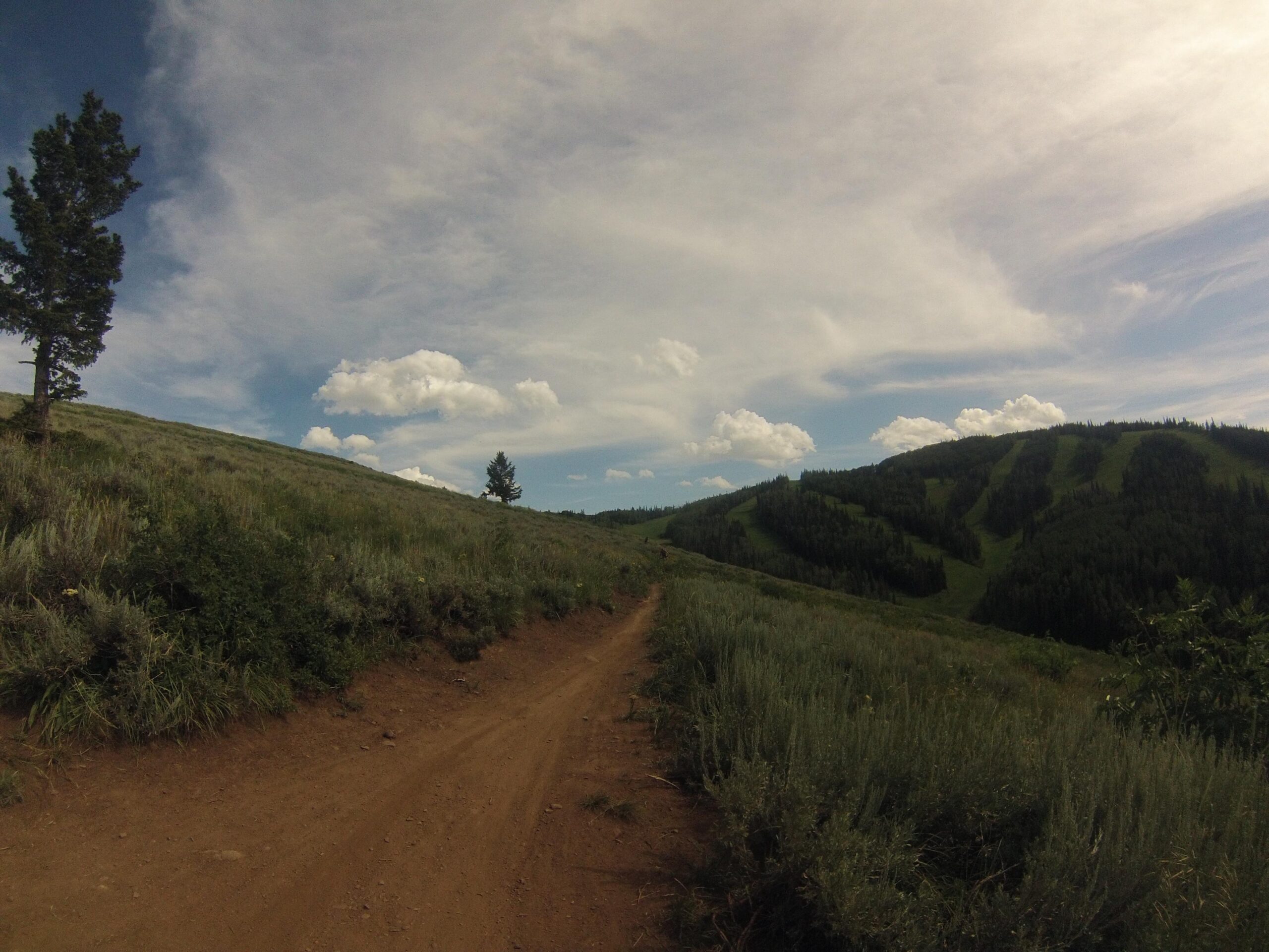 A winding dirt path leads through lush green hills and sagebrush under a vast blue sky adorned with fluffy white clouds. A solitary tree is visible on the left side of the image, enhancing the natural landscape. Mid Mountain mountain bike trail.