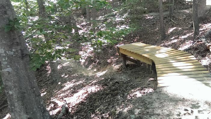 A wooden path winds through a wooded area, surrounded by trees and fallen leaves. The path gently curves and leads to a small clearing, showcasing the natural landscape of the forest. Fountainhead Regional Park mountain bike trail.