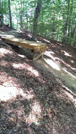 A wooden platform situated on a sloped forested path, surrounded by trees and a carpet of fallen leaves. The platform is supported by sturdy legs and leads to a dirt trail that winds through the greenery. Sunlight filters through the leaves, creating a dappled effect on the ground. Fountainhead Regional Park mountain bike trail.
