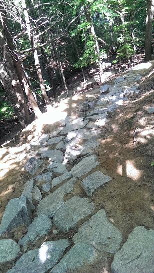 Rocky pathway winding through a forest, surrounded by trees with dappled sunlight illuminating the ground. Fountainhead Regional Park mountain bike trail.