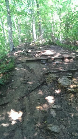 A winding dirt trail surrounded by lush green trees, leading up a slope. The path has exposed roots and stones, indicating a natural hiking route through the forest. Sunlight filters through the leaves, creating dappled light on the ground. Patapsco Valley State Park (Avalon Area) mountain bike trail.