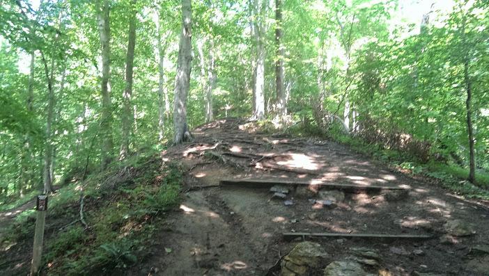 A dirt hiking trail winding through a lush, green forest with tall trees and sunlight filtering through the leaves. The path is slightly uphill and features natural elements like roots and rocks. Patapsco Valley State Park (Avalon Area) mountain bike trail.