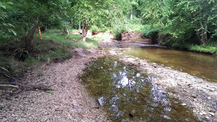 A serene riverbank scene featuring a shallow, clear stream winding through a lush, green landscape. The sandy and rocky shore is lined with trees, providing shade and a natural habitat. Reflections of the surrounding foliage are visible in the water, creating a tranquil atmosphere. Seneca Bluffs Trail mountain bike trail.