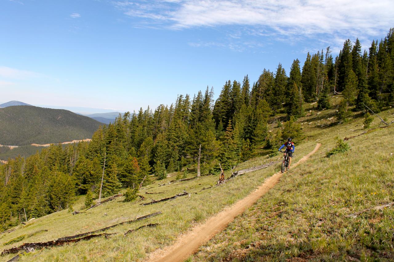 A mountain biker riding along a dirt trail that winds through a lush green landscape surrounded by tall pine trees and distant mountains under a clear blue sky. Monarch Crest Trail mountain bike trail.