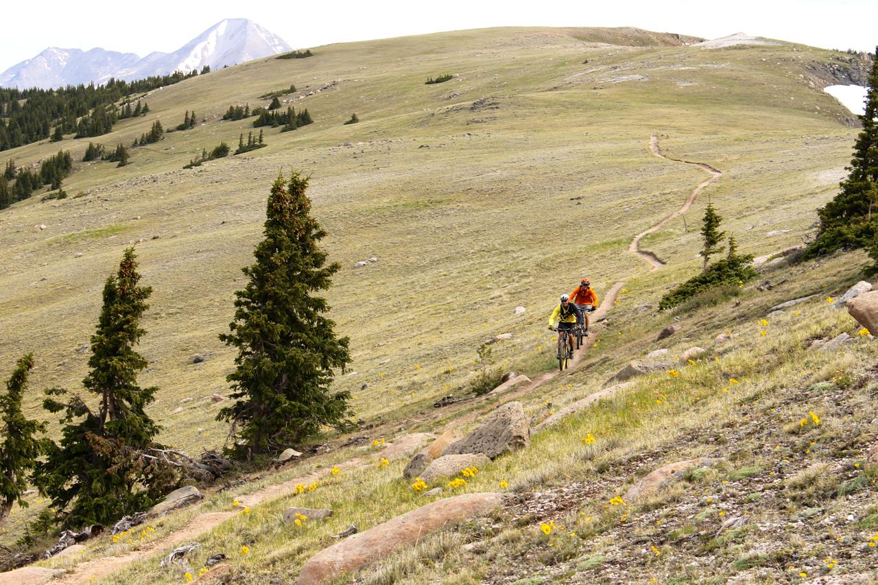 Two mountain bikers navigate a winding trail through a grassy hillside with scattered rocks and a few trees. In the background, snow-capped mountains rise, under a cloudy sky. Wildflowers dot the landscape, adding bursts of color to the scene. Monarch Crest Trail mountain bike trail.