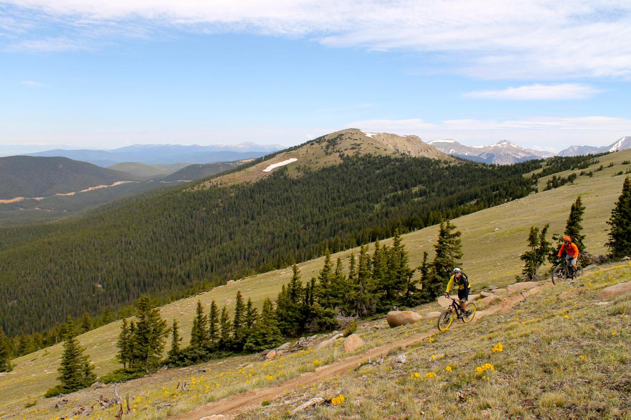 Two mountain bikers ride down a rocky trail in a vast, mountainous landscape filled with evergreen trees and patches of yellow wildflowers. The background features rolling hills, distant peaks, and a clear blue sky with some clouds. Monarch Crest Trail mountain bike trail.